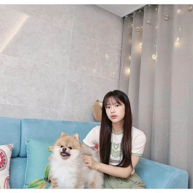 ハン・シウンさんのインスタグラム写真 - (ハン・シウンInstagram)「. @sbs_universeticket_official by @get_regrammer 🐶🐱🐰🐹🐻 소녀들이 포착한 뽀짝한 일상🐾   #황시은 #HWANGSIEUN #유니버스티켓 #universeticket #SBS #fnfentertainment」8月9日 18時08分 - sieunlove