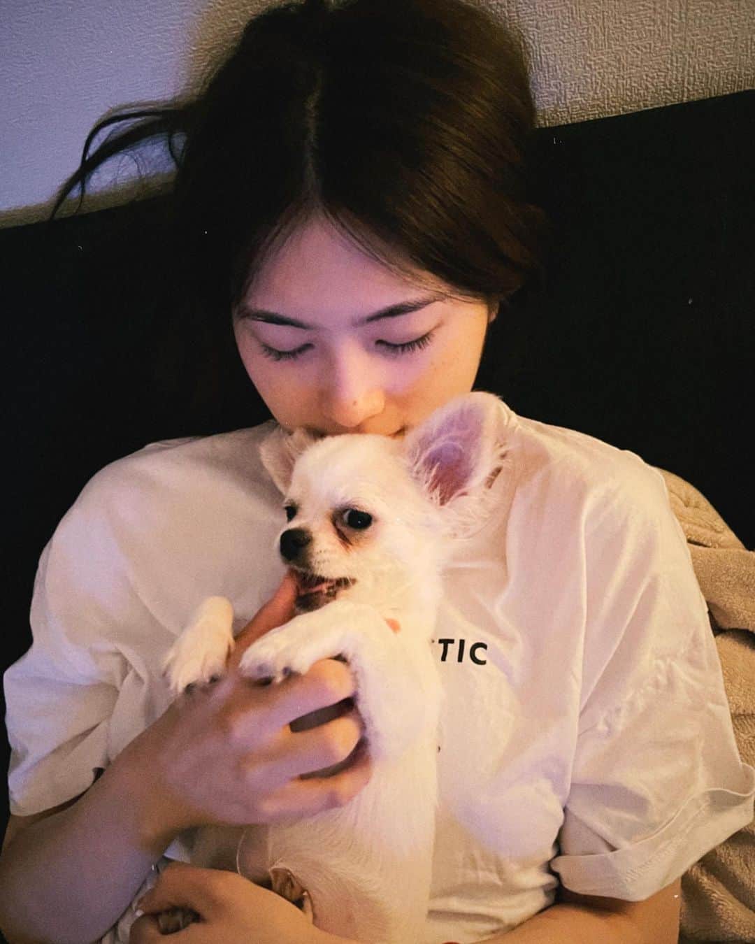 椎名亜美のインスタグラム：「🐶おもちの兄弟ポンです🐶」