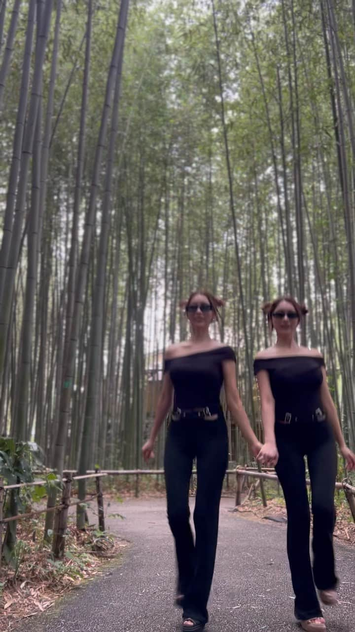 twinsりなりかのインスタグラム：「Arashiyama bamboo grove🎋 嵐山へ、人力車に乗ると効率よく 観光できるのでおすすめです！  #arashiyama #arashiyamabamboogrove #kyoto #京都 #嵐山 #京都観光」