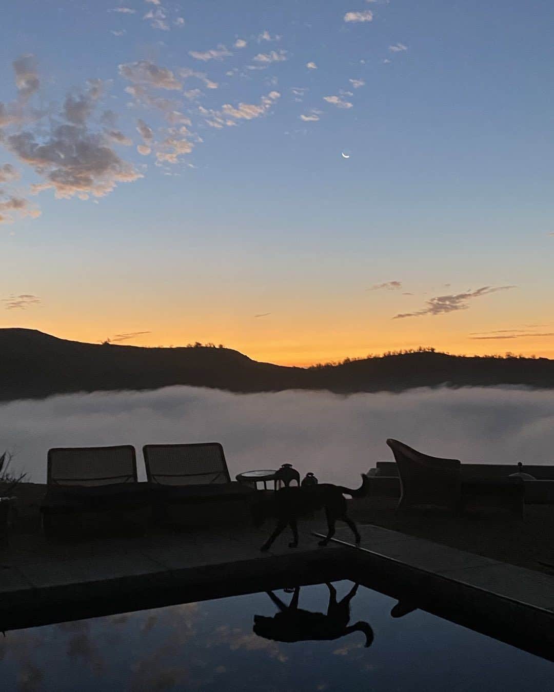 Caitlyn Jennerのインスタグラム：「Early morning sunrise on back patio in Malibu!」