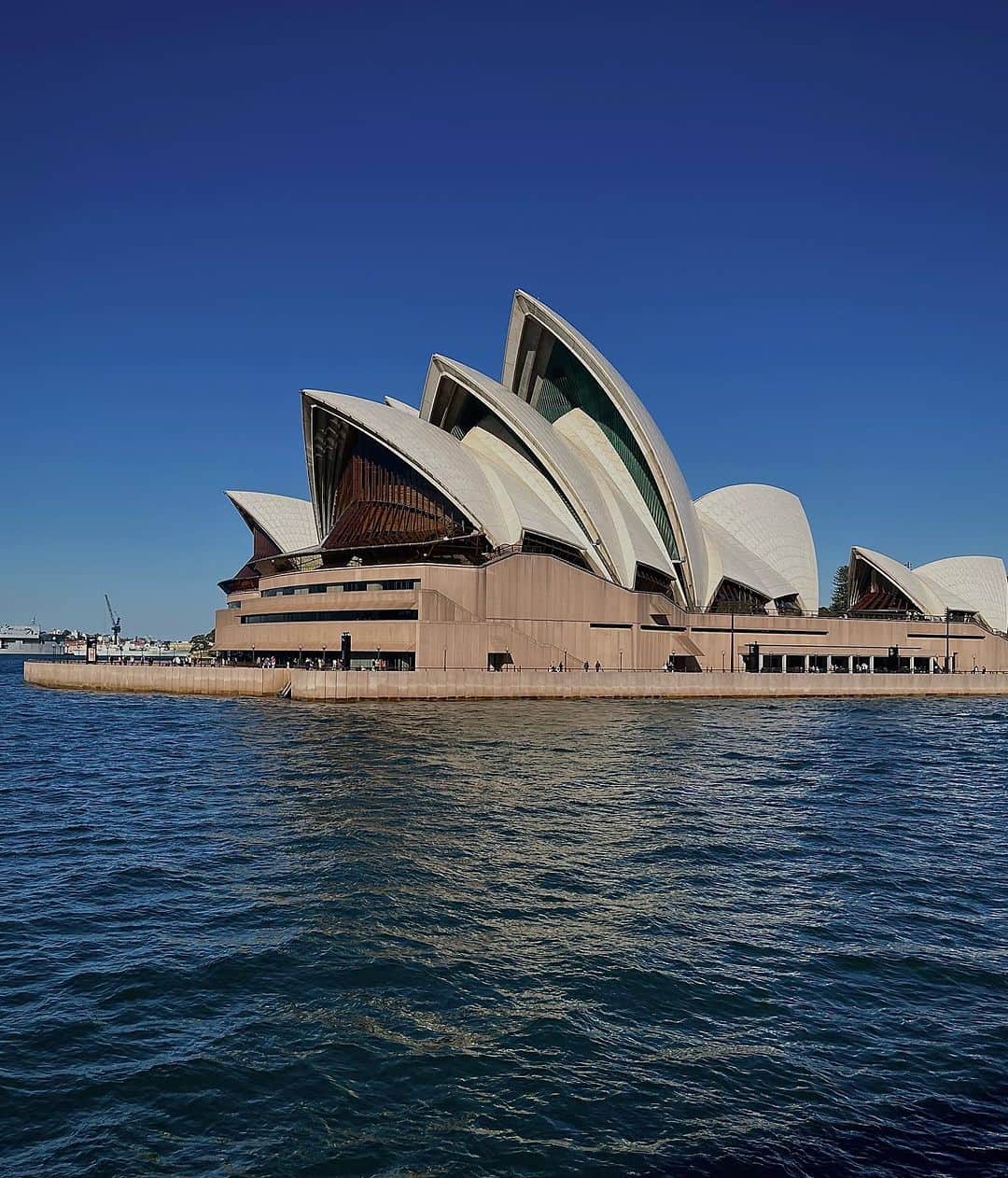 レオ・ルカ・スフォルツァさんのインスタグラム写真 - (レオ・ルカ・スフォルツァInstagram)「Opera house Sydney with a special friend」8月9日 17時15分 - leolucasforza