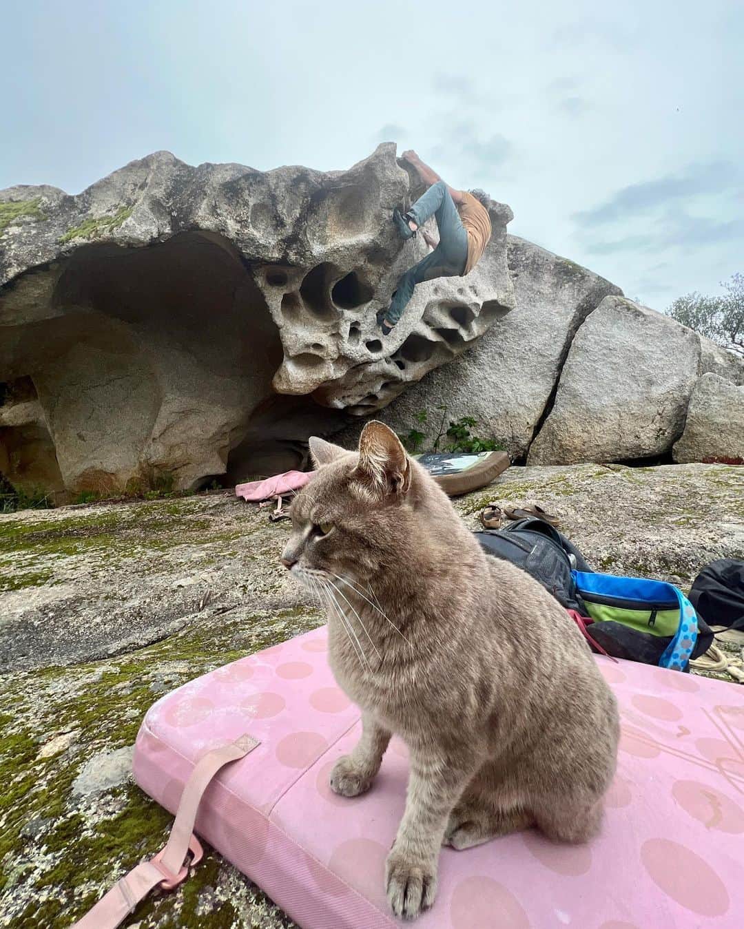 フレッド・二コルのインスタグラム：「The last few months I have been mostly busy finalizing climbing shoes, designing new models, projecting others… testing, amend, testing, improve… I hope you will like them! #bouldering #climbing #climbingshoedesign」