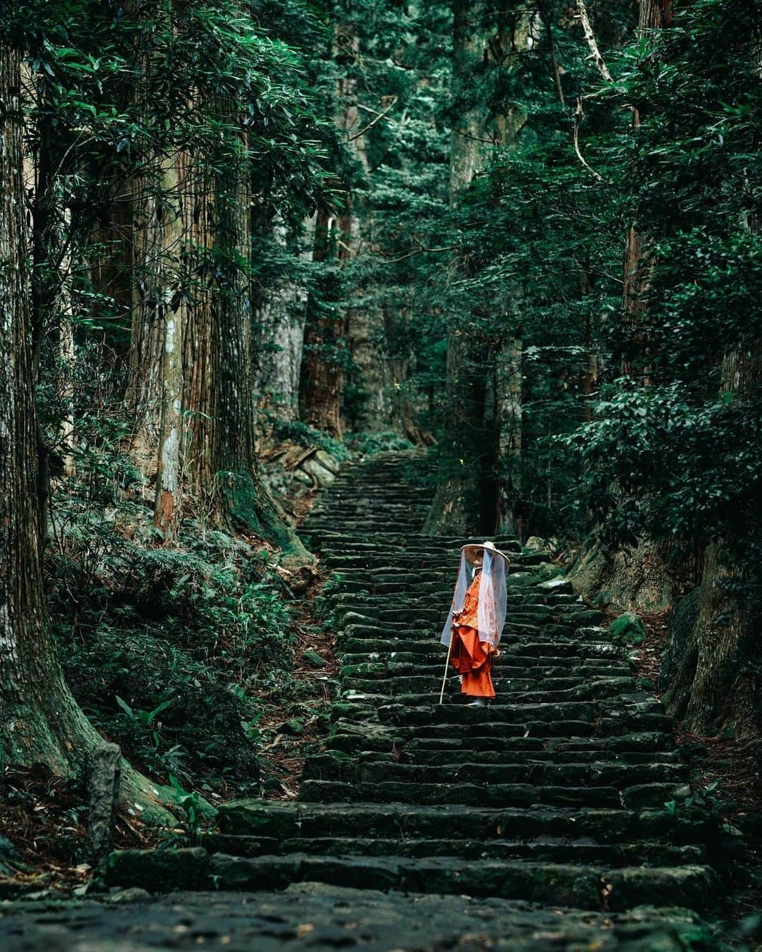 Visit Wakayamaのインスタグラム：「. Step back in time as you climb the ancient stone steps of Daimon-zaka, lined with centuries-old Japanese cedar, cypress, and camphor trees. 📸 @yusuke_nairobi 📍 Daimon-zaka, Wakayama . . . . . #discoverjapan #unknownjapan #instajapan #landscape #japan #japantrip #japantravel #beautifuldestinations #wakayama #wakayamagram #explore #adventure #visitwakayama #travelsoon #visitjapan #travelgram #stayadventurous #igpassport #explorejapan #lonelyplanet #sustainabletourism #deepforest #nature #traveldeeper #bucketlist #kumanonachitaisha #kumano #nachifalls #daimonzaka #kumanokodo」