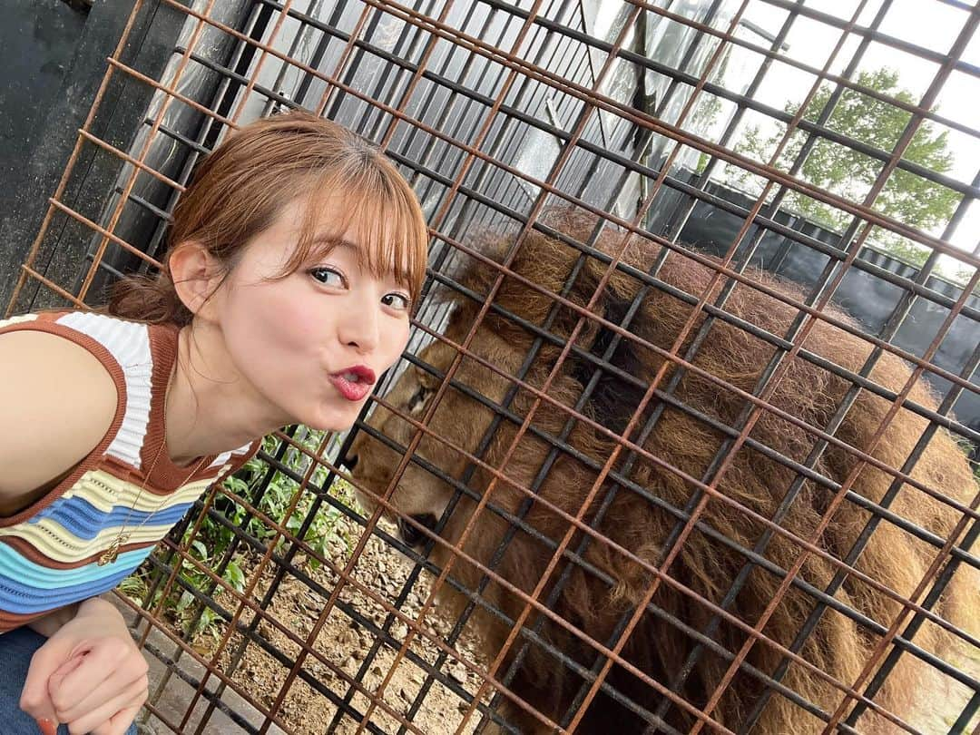 大家彩香のインスタグラム