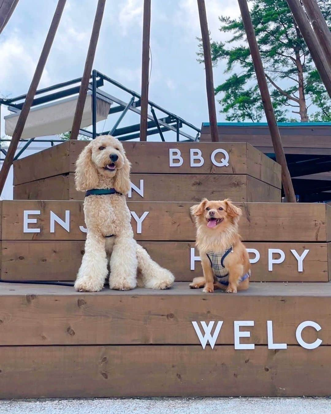 村上奈菜のインスタグラム：「. 今年も友達夫婦とわんちゃんOkのコテージへ🐶♡ 前回とは違うお家にしたんだけど、 どこもおしゃれで素敵なコテージばかり🏡  地元の美味しい食材を買って テラスでBBQも最高だし、 近くの川も冷たくて気持ちよかった〜♡ また来年も来たいくらいおすすめです🫰🏻✨」