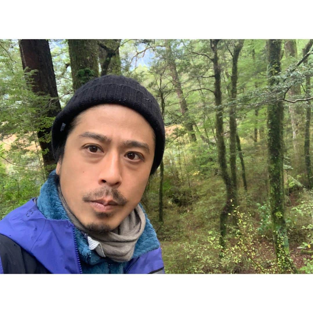 のインスタグラム：「. ハロハロー！皆さん 森の緑色と香りが好きです。 最近よく森に立ち寄っているので、 デコの調子が良いです！ 昔おデコだけは自信があったのですが、 森に来ると何故かその頃のデコに近づきます。 ということでデッコう調です！ナ。」