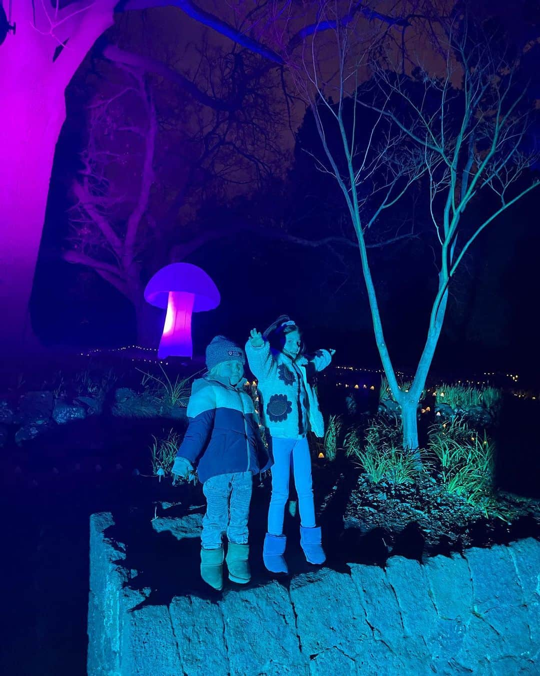 エミリー・デ・レイヴィンさんのインスタグラム写真 - (エミリー・デ・レイヴィンInstagram)「Fun night over the weekend at the beautiful @royalbotanicgardensvic for their final weekend of #lightscape  We love these gardens so much, was super cool to see them all lit up (& with wonderful art installations too) at night! 🌈✨🫶🏼」8月9日 12時15分 - emiliede_ravin