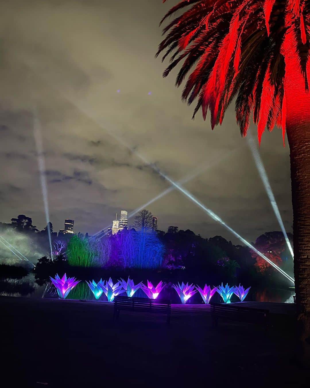 エミリー・デ・レイヴィンさんのインスタグラム写真 - (エミリー・デ・レイヴィンInstagram)「Fun night over the weekend at the beautiful @royalbotanicgardensvic for their final weekend of #lightscape  We love these gardens so much, was super cool to see them all lit up (& with wonderful art installations too) at night! 🌈✨🫶🏼」8月9日 12時15分 - emiliede_ravin
