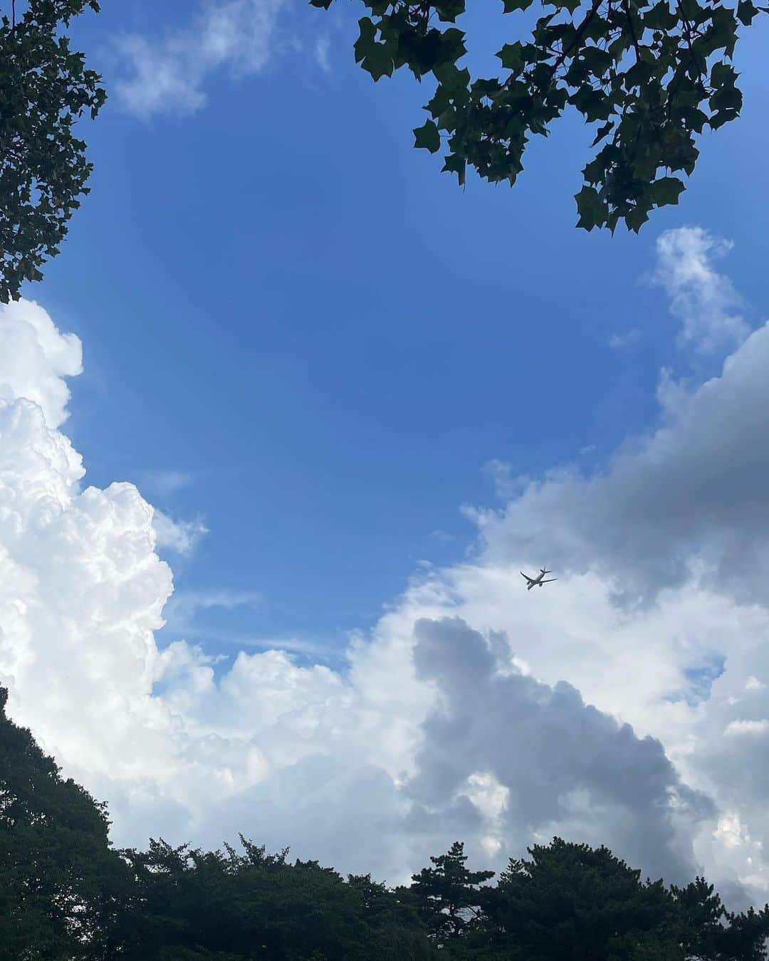 永田凜のインスタグラム：「🕊️🕊️🕊️」