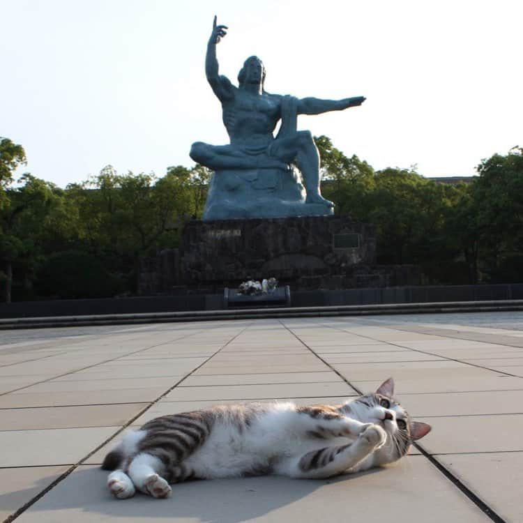 Nyankichi Noranekoのインスタグラム：「8月9日は、長崎から平和の祈りをささげる日にゃり🙏  長崎に原爆投下 1945年8月9日午前11時02分に、 アメリカ軍が日本の長崎県長崎市に 原子爆弾を投下し多くの命が奪われました。 今後、二度とこのようなことがないことを心から祈ります。 世界が平和でありますように🙏  Dropping of atomic bombs on Nagasaki City. On August 9th, 1945 at 11:02, the U.S. military  dropped an atomic bomb in Nagasaki City, Nagasaki Prefecture,  and caused the loss of countless lives.  I wish, with all my heart, which will never repeat this tragedy. I want world peace🙏  El 9 de agosto de 1945 a las 11:02,  el ejercito norteamericano arrojó una bomba atómica  en la ciudad de Nagasaki, Prefectura de Nagasaki,  causando la pérdida de innumerables vidas. Deseo, de todo corazón, que nunca más se repita esta tragedia. Por la paz mundial🙏  1945년 8월 9일 오전 11시 02분에, 미군이 일본의 나가사키현 나가사키시에 원자 폭탄을 투하해 많은 생명이 빼앗겼습니다. 향후 두번 다시 이러한 일이 없는 것을 진심으로 빕니다. 세계가 평화롭도록.🙏  Le 9 Août 1945 à 11: 02 du matin, l'armée américaine  a largué une bombe atomique sur la ville de Nagasaki, Prefecture de Nagasaki. L'explosion de cette bombe  a causé d'innombrables pertes en vies humaines. Je prie, de tout mon coeur,que cette tragédie ne se répète plus jamais.  Je veux un monde de Paix🙏  1945年8月9日 上午11时2分 美国军队在 长崎县长崎市投下的原子弹夺去了众多人的宝贵生命。 期待世界的和平从此不再发生类似的惨剧。🙏  1945年8月9日 上午11時2分 美國軍隊在 長崎縣長崎市投下的原子彈奪去了眾多人的寶貴生命。 期待世界的和平從此不再發生類似的惨劇。🙏」