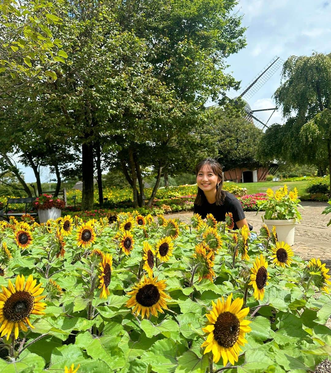 近藤夏子さんのインスタグラム写真 - (近藤夏子Instagram)「.   #ひるおび中継 千葉県船橋市「アンデルセン公園」のひまわり畑からお伝えしました🌻  １番好きなお花はひまわりで 中継でもお話ししましたが、同期からもらった誕生日ブーケもひまわりが入っていました💗 嬉しかったなあ。ありがとう！ そのことはまた投稿します🫶🏻 　 　 このアンデルセン公園には２万株のひまわりがあり、様々な種類がきれいに咲いています✨ 　 大きな風車、ひまわり アンデルセンの描く童話の世界に入り込んだようでした🧡 　 大好きなひまわりに囲まれてるんるん。 　 夏限定グルメも味わいましたよ〜！ ぜひみなさん行ってみてください☺️ 　 　 . #アンデルセン公園 #ひまわり畑」8月9日 12時40分 - kondokako0804