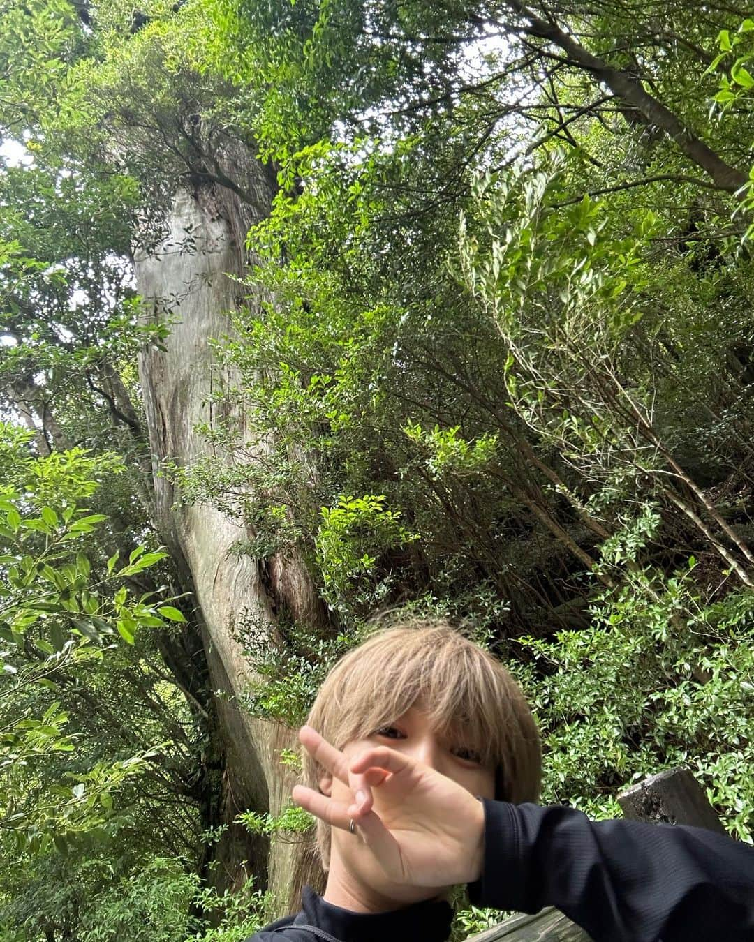 安井謙太郎さんのインスタグラム写真 - (安井謙太郎Instagram)「🌳🌊🐟」8月9日 13時36分 - kentaro_dayooon