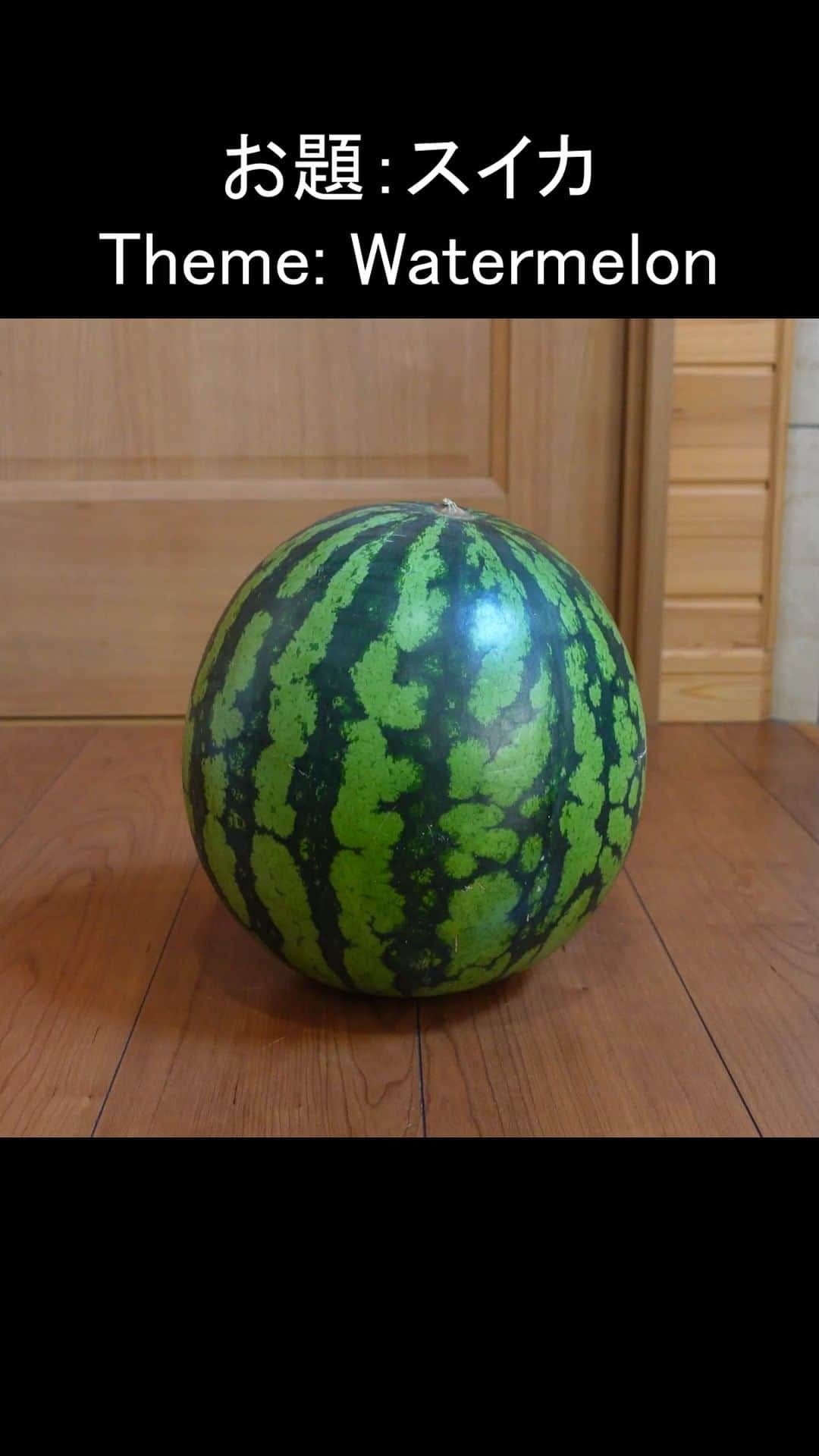 のインスタグラム：「スイカを描くまるさん。 Maru paints a watermelon.  【YouTube】 Maru↓ https://youtu.be/EChM_6Tl6Tk  Hana↓ https://youtu.be/qeV2nYiIprM  Miri↓ https://youtu.be/VBPJGW1XNDA」