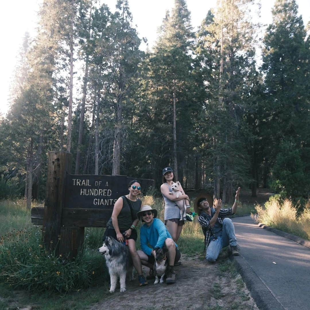 ベアトリサ・リャンさんのインスタグラム写真 - (ベアトリサ・リャンInstagram)「Week off was full of tall trees...and sand! Also some baby zebras.   📸: Mostly @jaybesami   #kernriver #sequoianationalpark #redwoodsnationalpark #vacation #camping #safariwest #sonomacounty #kerncounty」8月9日 14時51分 - bebe_liang