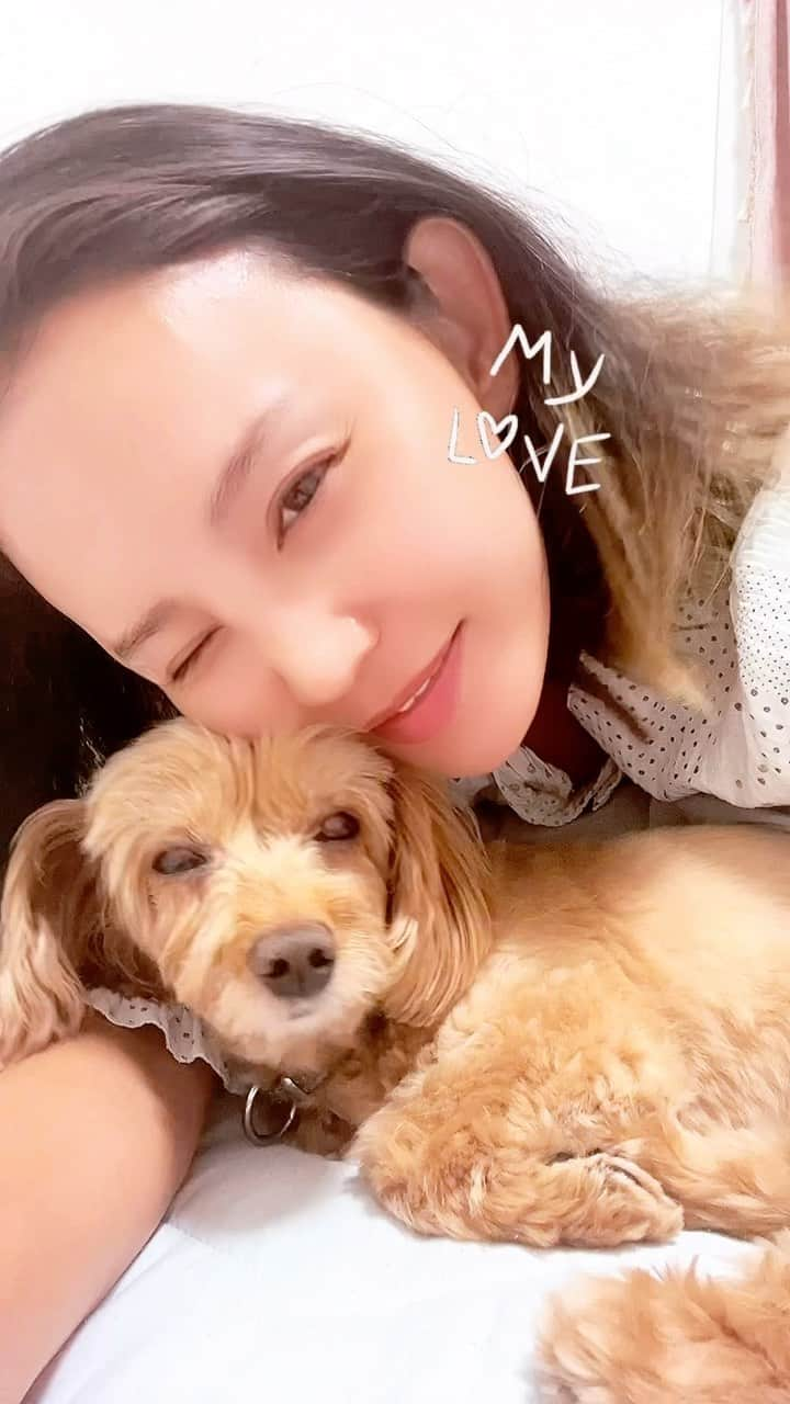 丘咲エミリのインスタグラム：「Allyとの12年と9ヶ月の絆🐶💖 Bond with Ally 💋 My big love  #愛犬との絆 #犬がいる暮らし #犬好きさん #たとう飼い #だっぷー #ミックス犬🐶 #ダップー犬 #愛犬との日常」