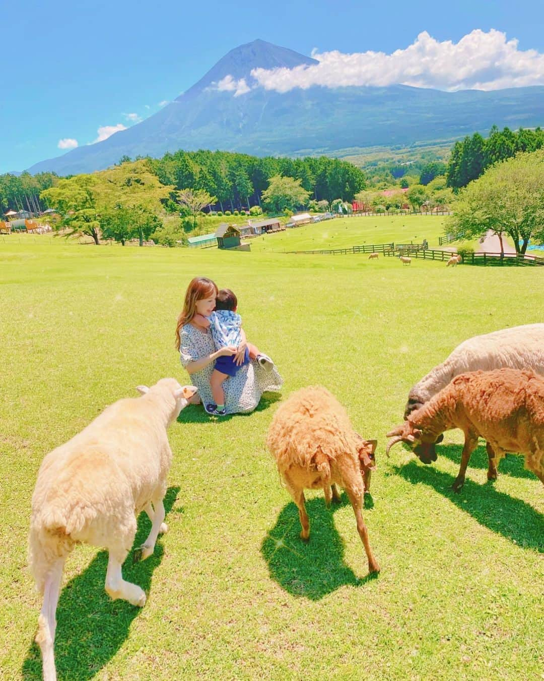 はるみんのインスタグラム：「.·˖*✩ ⁡ 静岡県にある まかいの牧場に来ました🐄🐷 ⁡ たくさんの動物と 触れ合えるだけではなく🌝 ⁡ 乗馬、牛の乳搾り、エサやりや アスレチック遊具で遊べたり BBQもできたりします🤩🌈 ⁡ ⁡ かいくんはどの動物も コワイみたいで大号泣でした😂 ⁡ 開放的な大草原と富士山の コラボは絶景なので、ぜひ 訪れてみてください🥰🗻 ⁡ ⁡ ⁡ 📍 #まかいの牧場 (静岡県富士宮市) 富士五湖の河口湖から 車で30分くらいだよ🚗 ⁡ ⁡」