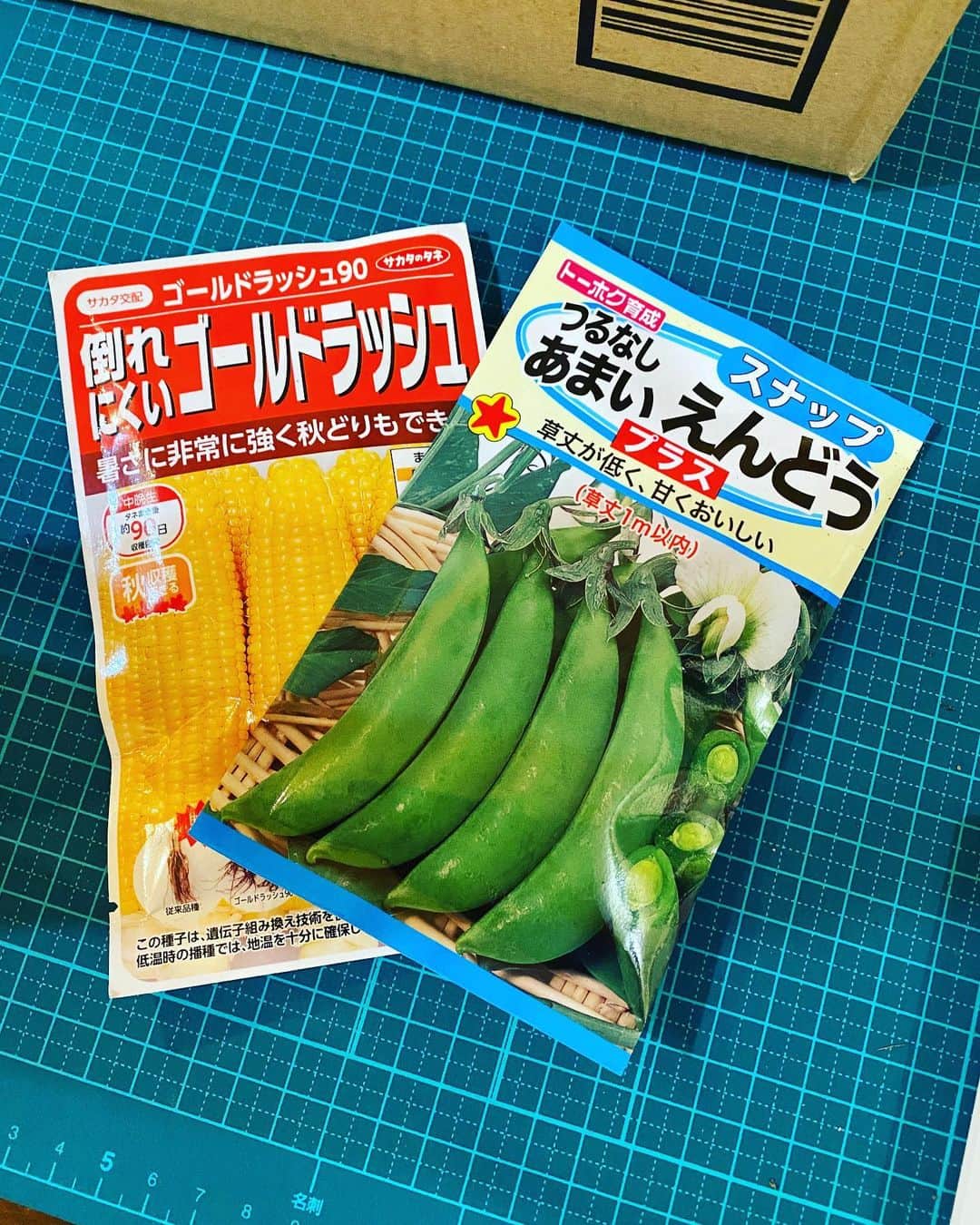 関智一さんのインスタグラム写真 - (関智一Instagram)「植えるぜ！  #とうもろこし #2度目の挑戦 #えんどう豆 #初挑戦 #家庭菜園」8月9日 15時46分 - sekitomokazu