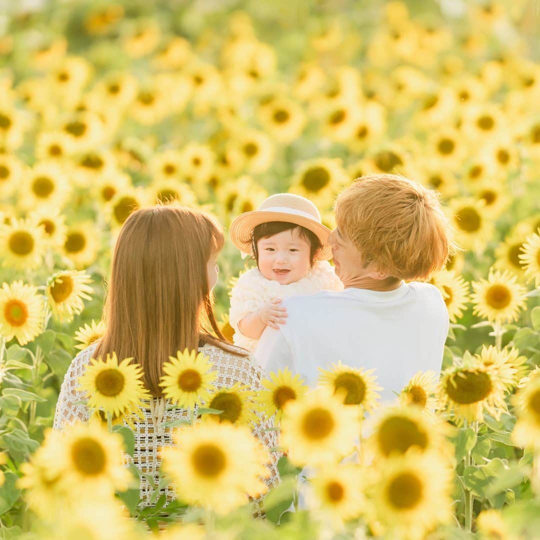 Lovegraph_Kids ラブグラフキッズのインスタグラム：「ㅤㅤㅤㅤㅤㅤ夕方のひまわり畑もこんなに素敵☺️☺️🌻 今年の夏の思い出に家族みんなで残そう👨‍👩‍👧☀️  ㅤㅤㅤ 夏撮影限定のクーポンは公式サイトより🥰👏🏻  ୨୧┈┈┈┈୨୧ ㅤㅤㅤ Lovegraphは出張撮影サービスです📸お誕生日や七五三、日常フォトなどさまざまなシーンをプロのカメラマンが撮影いたします☺️ ㅤㅤㅤ 撮影プランや料金詳細は @lovegraph_kids のプロフィールURLをご確認ください🌼 ㅤㅤㅤ ୨୧┈┈┈┈୨୧ ㅤㅤㅤ #ラブグラフ #Lovegraph #幸せな瞬間をもっと世界に #出張カメラマン #子どものいる暮らし #ロケーションフォト #誕生日フォト #出張カメラマン #向日葵畑 #ひまわり畑」