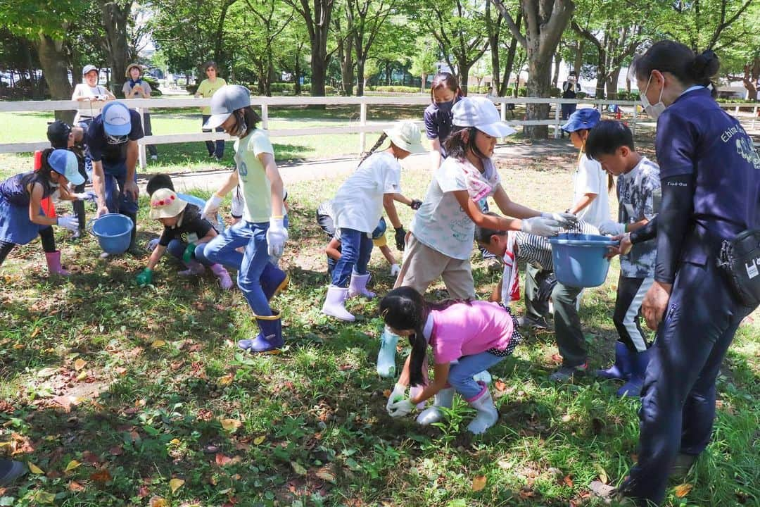 海老名市さんのインスタグラム写真 - (海老名市Instagram)「夏休みポニーふれあい教室🐎  市内在住の小学生を対象に開催されている「夏休みポニーふれあい教室」の様子です。（※募集は終了しました。）  海老名運動公園で暮らすポニーの乗馬（引き馬）やブラッシングなどのお世話、エサやりなどを行いました。  普段の生活ではできない体験に、子どもたちの笑顔が輝いていました✨  #好きです海老名 #住みたい住み続けたいまち海老名 #海老名 #神奈川 #ebina #ポニー #夏休み #夏休みポニーふれあい教室 #小学生 #乗馬 #レッスン #夏 #夏の思い出 #海老名運動公園」8月9日 16時29分 - ebina_official