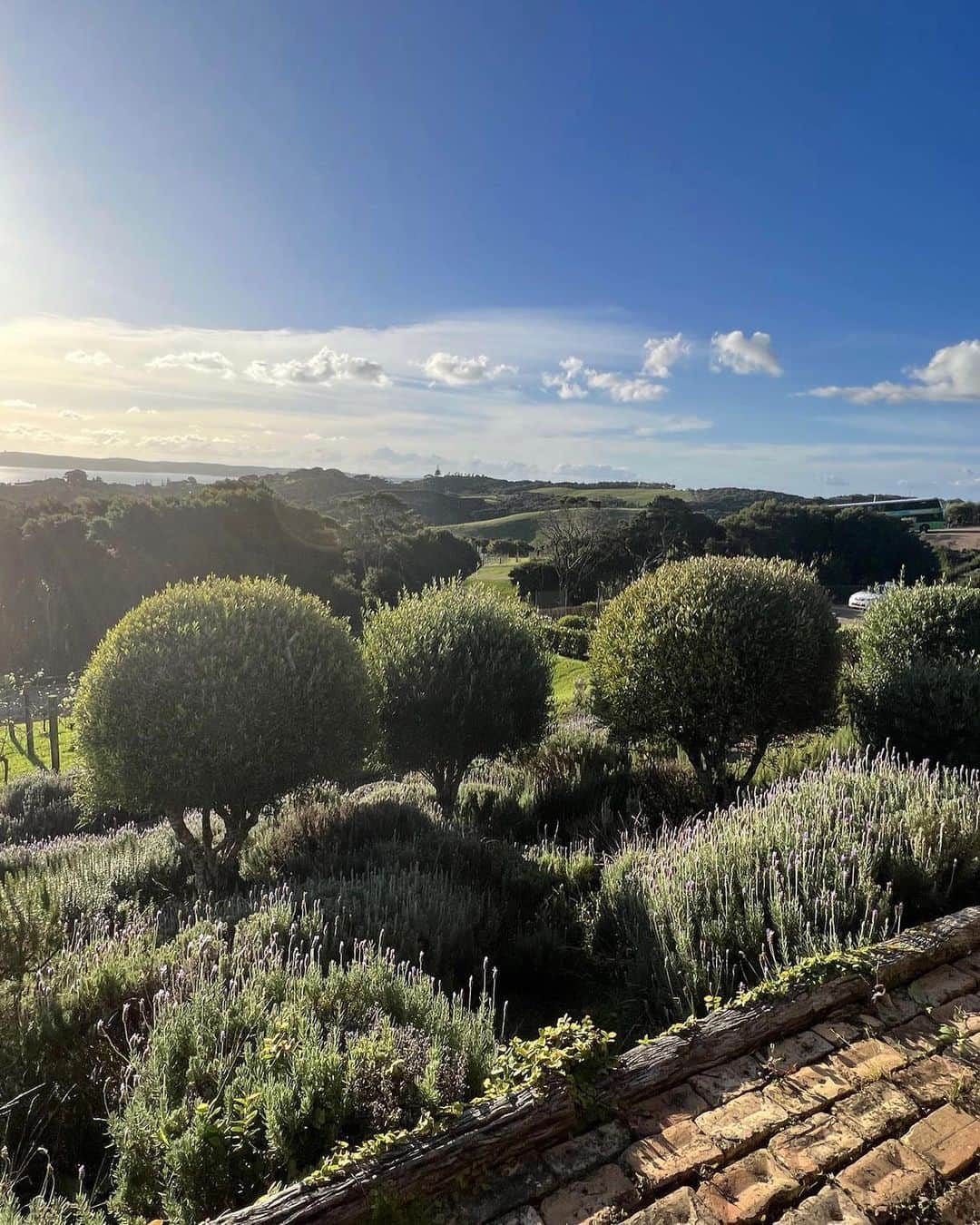 Candlewick Co., Ltd.さんのインスタグラム写真 - (Candlewick Co., Ltd.Instagram)「今週8/11は「山の日」！ 大石からは、今年３月に訪れたニュージーランドのwaiheke islandの様子をご紹介します。  ワイへキは、オークランドからフェリーで約40分で行ける自然豊かな島で、ワイナリーでも有名です。自然を楽しみながらリラックスするにはもってこいの、大人の休息地といったイメージです。  海の景色を楽しみながら、ハイキングができ、海と山を同時に楽しむことができます。  オークランド滞在時には、ぜひワイへキ島にも足を延ばしてみてください！１泊して、ワイナリーや夜の星空を楽しむのもおすすめです  In celebration of Mountain Day (August 11), this week members of Candlewick will be introducing about mountain. Next is Kaho！  Sharing a glimpse of my visit to Waiheke island in New Zealand this March.  Waiheke island, a nature-rich island, is just a 40-minute ferry ride away from Auckland and is renowned for its wineries. It's an ideal destination for unwinding amidst nature, offering the perfect retreat for adults.  You can enjoy while hiking and enjoying both the sea and mountains simultaneously.  If you're in Auckland, make sure to extend your trip to Waiheke island! I highly recommend spending a night here, indulging in wineries visit and the enchanting night sky.  #キャンドルウィック #広報 #マーケティング #サステナブルPR #コミュニケーションデザイン #ニュージーランド #ニュージーランド旅行 #自然 #海  #山 #山の日 #旅 #ワイナリー #ワイへキ #ワイヘキ島 #オークランド ＃大人旅 #candlewickpr #tokyopr #communicationdesign #sustainablePR #branding #marketing #newzealand #nz #🇳🇿  #waiheke #waihekeisland #auckland」8月9日 20時00分 - candlewick_jp