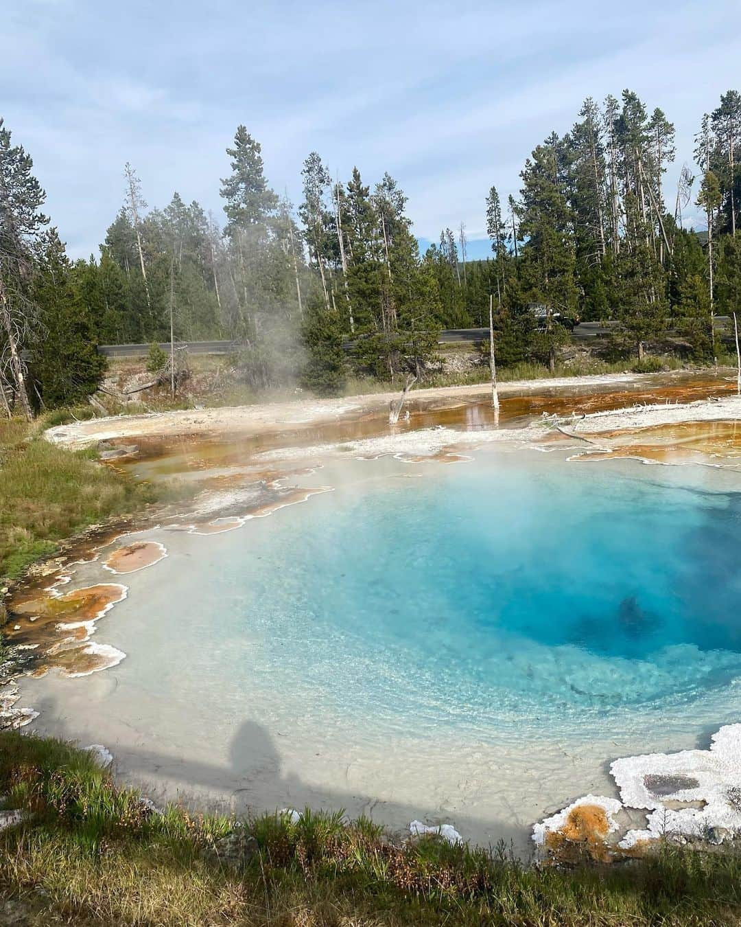 さんのインスタグラム写真 - (Instagram)「Yellowstone 🐻」8月10日 3時04分 - auroraperrineau