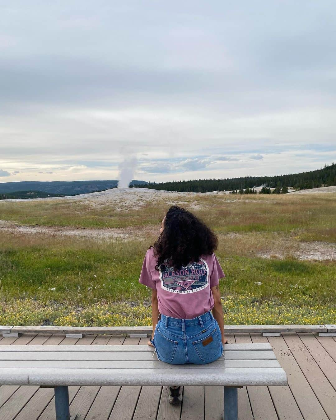 さんのインスタグラム写真 - (Instagram)「Yellowstone 🐻」8月10日 3時04分 - auroraperrineau