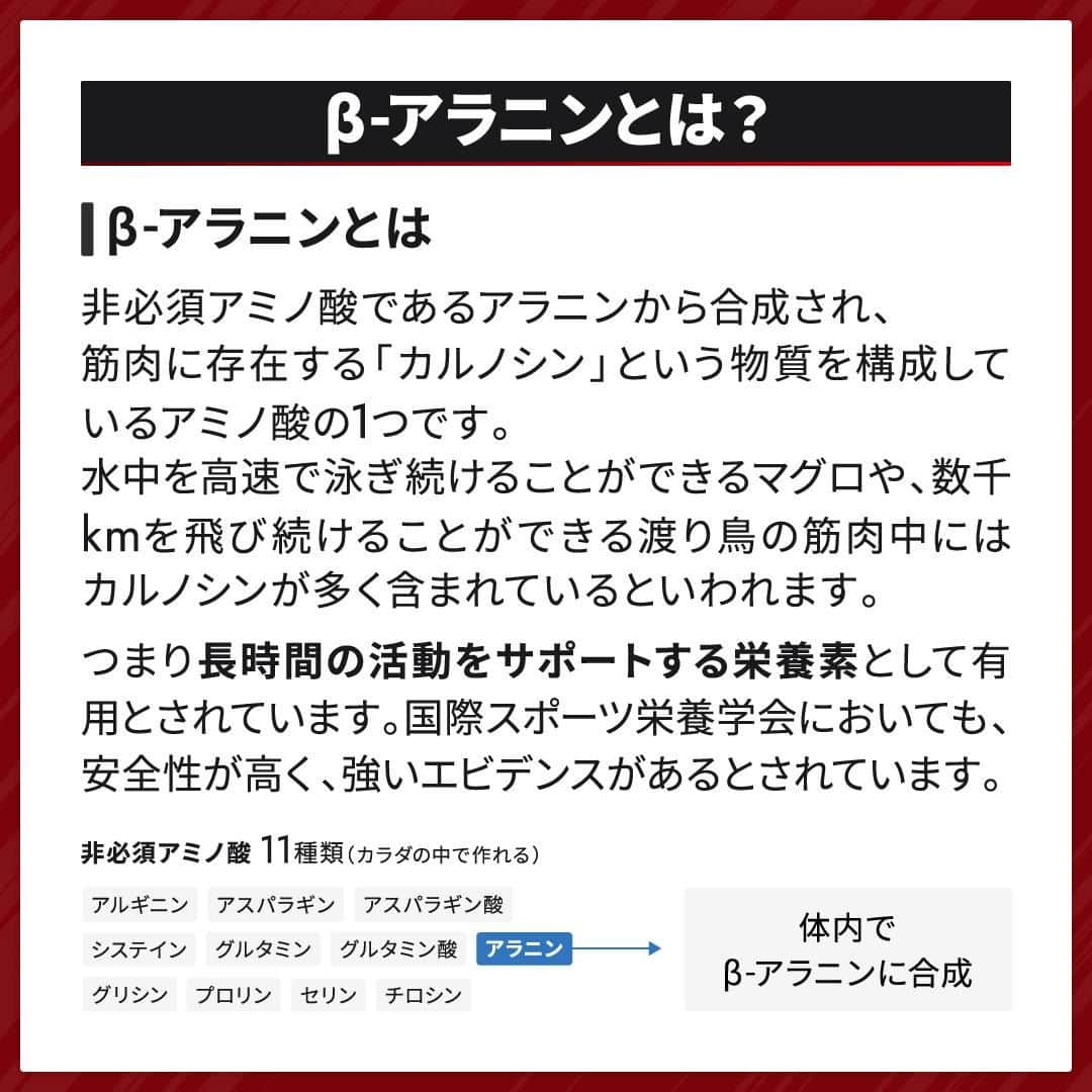 GronG(グロング)さんのインスタグラム写真 - (GronG(グロング)Instagram)「. グロングは皆さまのボディメイクを応援します💪 筋トレ、ダイエット、食事・栄養素についての情報発信中📝 参考になった！という投稿には、『👏』コメントお願いいたします✨ 皆さんの感想や体験談もお待ちしております🖋️ --------------------------------------------------  【筋トレのパフォーマンスアップ！β‐アラニンについて】 β-アラニンとは非必須アミノ酸のであるアラニンから合成されるアミノ酸のひとつです！ パフォーマンスアップといえば、「クレアチン」というイメージが強い方も多いと思いますが、β-アラニンもパフォーマンスアップに重要な栄養素のひとつになります🥤  長時間の筋トレをおこなう方や、長時間スポーツをやっている方にオススメです👍 トレーニングが途中でバテてしまうという方はぜひ試してみてください🔥  オススメの摂取量なども説明していますので、参考にしていただけると幸いです♪  #GronG #グロング #プロテイン #タンパク質 #たんぱく質 #アミノ酸 #サプリメント #サプリ #必須アミノ酸 #サプリメントの選び方 #栄養補給 #栄養補助食品 #栄養管理 #筋力トレーニング #プロテイン摂取  #筋トレサプリメント #アミノ酸サプリ #アミノ酸サプリメント #おすすめサプリ #筋力アップトレーニング #ベータアラニン  #パフォーマンス  #パフォーマンス向上  #持久力トレーニング  #クレアチン」8月9日 19時00分 - grong.jp