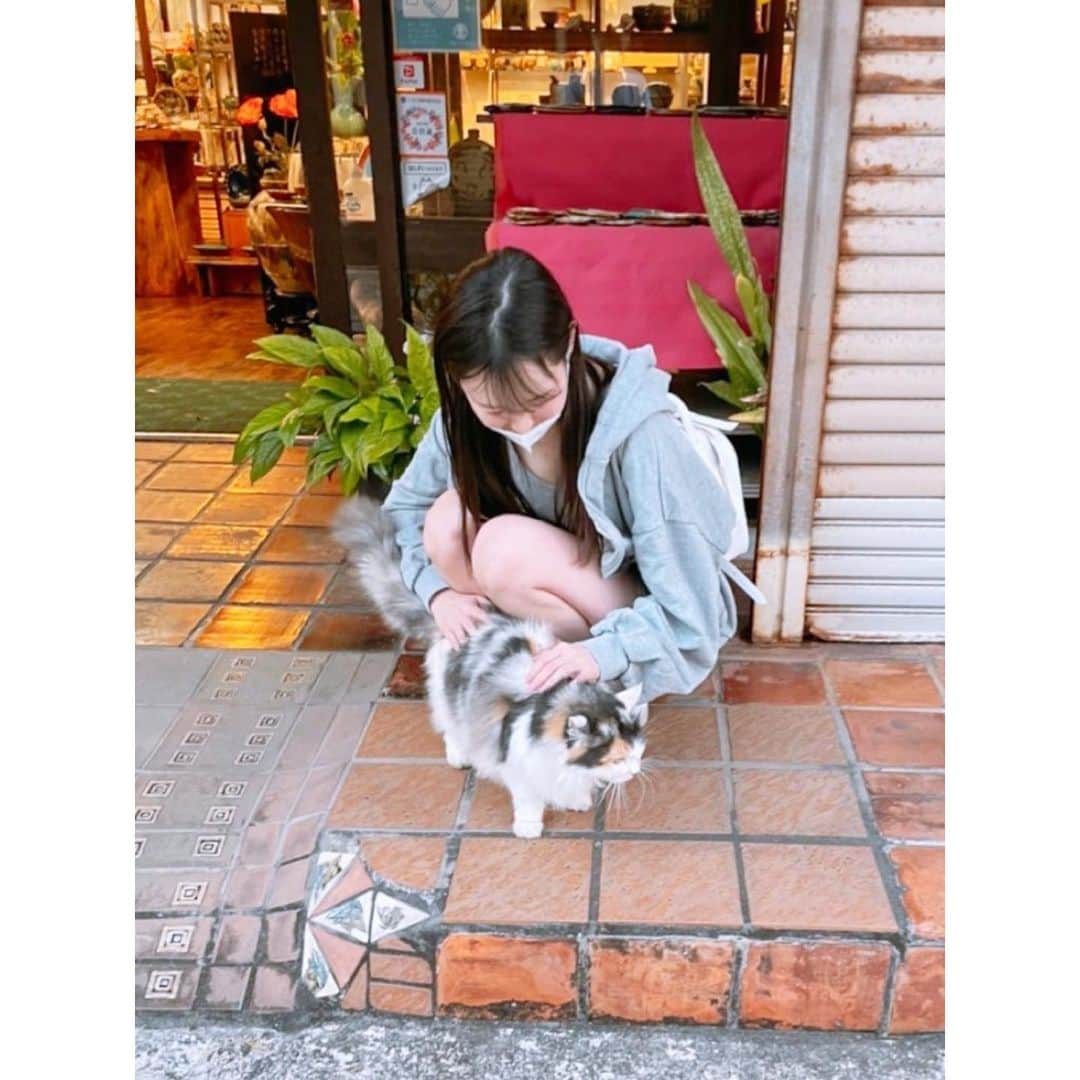 小泉みゆきさんのインスタグラム写真 - (小泉みゆきInstagram)「昨日の #世界猫の日 に載せた写真🐈 in沖縄。」8月9日 18時52分 - koizumimiyuki