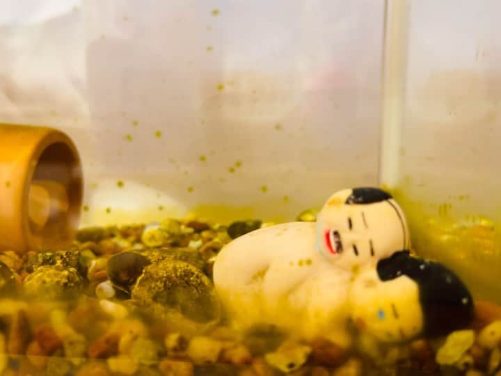 デハラユキノリのインスタグラム