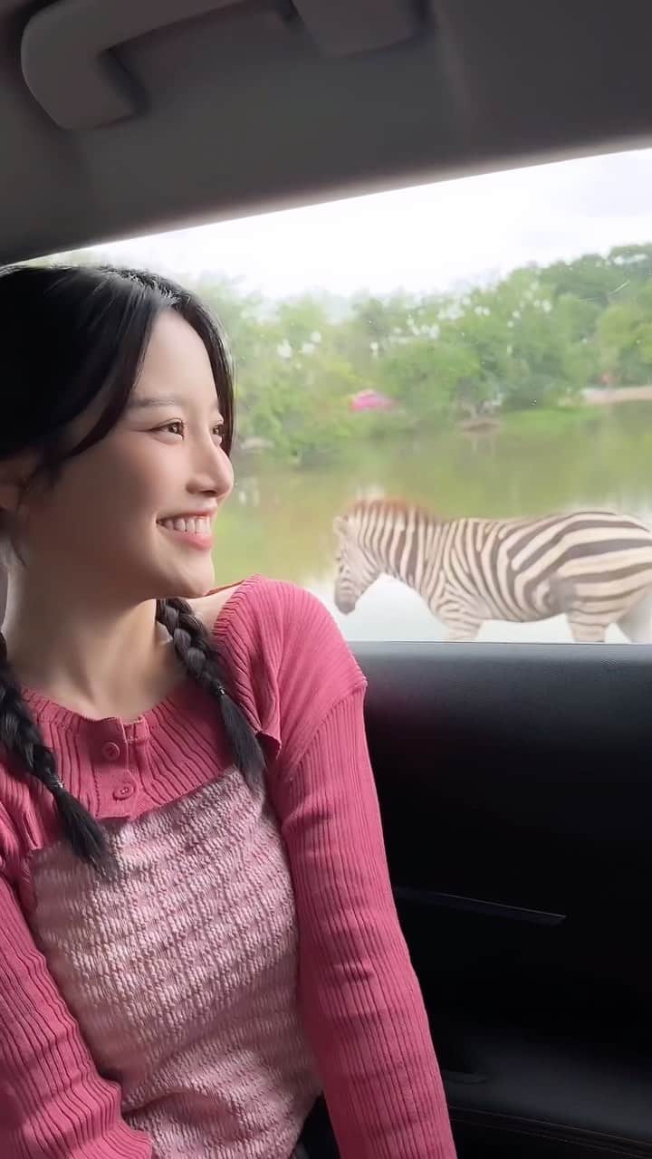 蔡瑞雪（Ruixue Tsai）のインスタグラム：「第一次坐自駕車逛動物園🦓 近距離看動物的感覺真的很不一樣🥹」