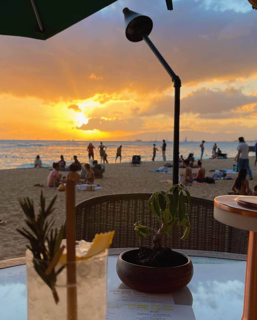 MIKAさんのインスタグラム写真 - (MIKAInstagram)「Forever a sunset chaser✨🍹🧡  ⠀ ハワイの夕日とても久しぶりでうっとりするね 目の前のカイマナビーチであざらしちゃんをどうしても見たかった日🦭笑 ⠀ #アザラシ 大好き」8月9日 19時40分 - cjd_mika