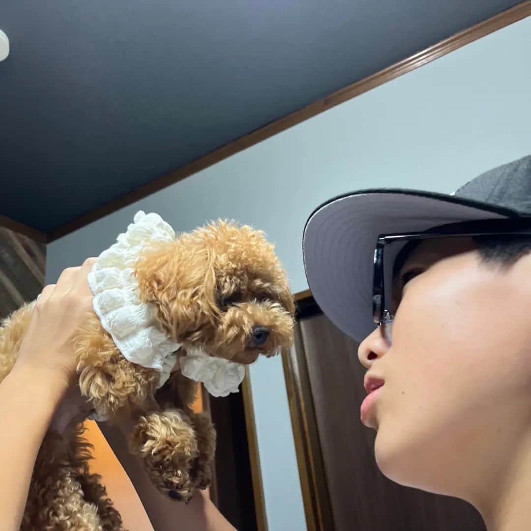 パンダのインスタグラム：「良い勝負⁡ #ちょんまげ小僧 ⁡」