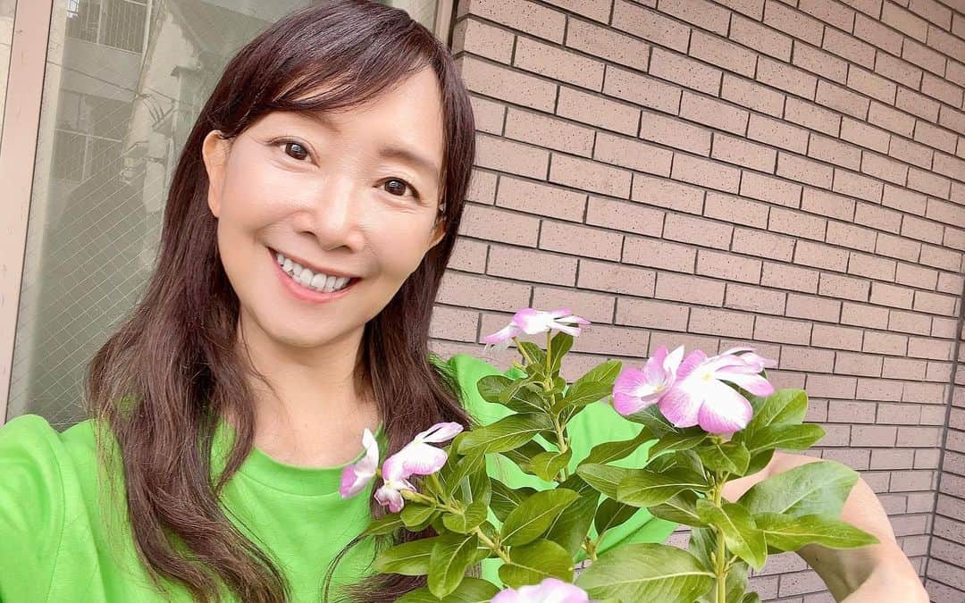 アグネス・チャンのインスタグラム：「暑い日は2回水やりやってます。」