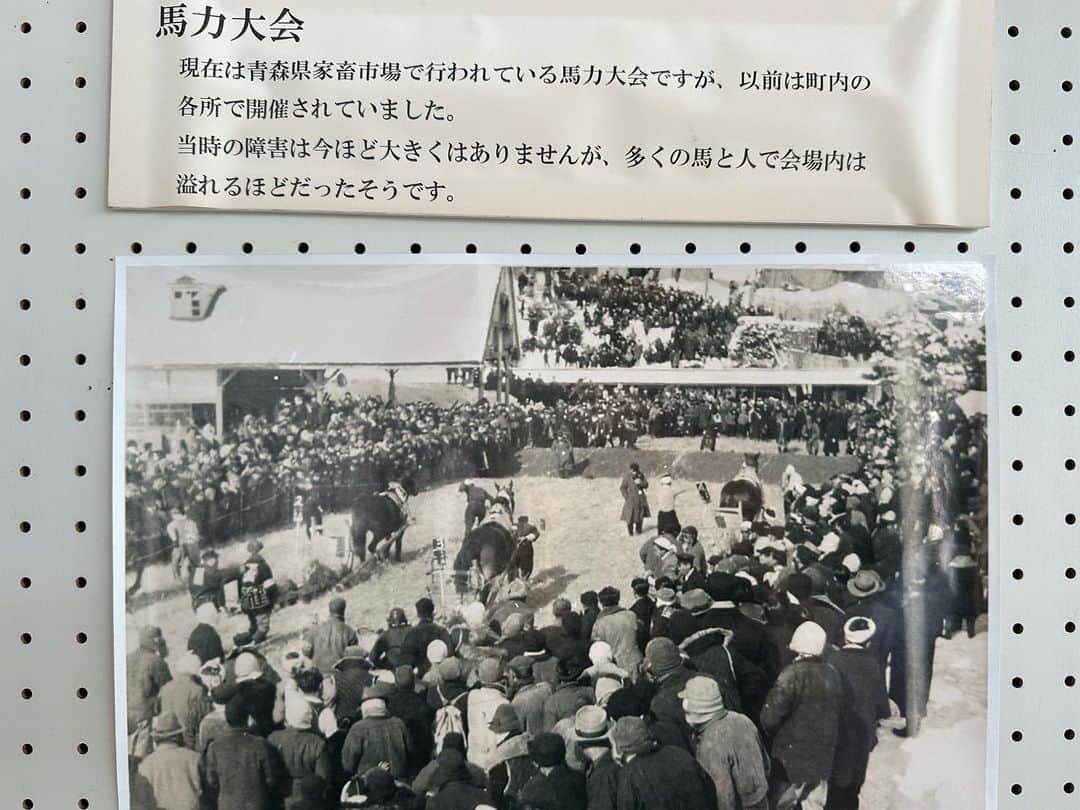 小谷あゆみのインスタグラム：「奥羽牧場へ行ってきました 牧場を縦断する道7キロメートル 1200ヘクタール 牧草地だけで450ヘクタール  青森県七戸町 涼しいどころか、36度ーー！ 明治時代に始まった軍馬の種畜牧場 昔はとにかく馬の改良が国策だったんだって 明治天皇や大正天皇もこの牧場をご視察になった 坂の上の雲 馬でロシアに攻め入った時代があった 今は黒毛和牛800頭の育種改良 日本短角も飼養し種を維持 稲わらたくさん食べる和牛 時代背景とともに必要とされる家畜も変わるのか。 ならば100年後は〜 そんなこと考えさせられる奥羽牧場の旅でした 明治時代の牛舎が今は干し草置き場に。なかなかの迫力 暑い中ありがとうございました〜」