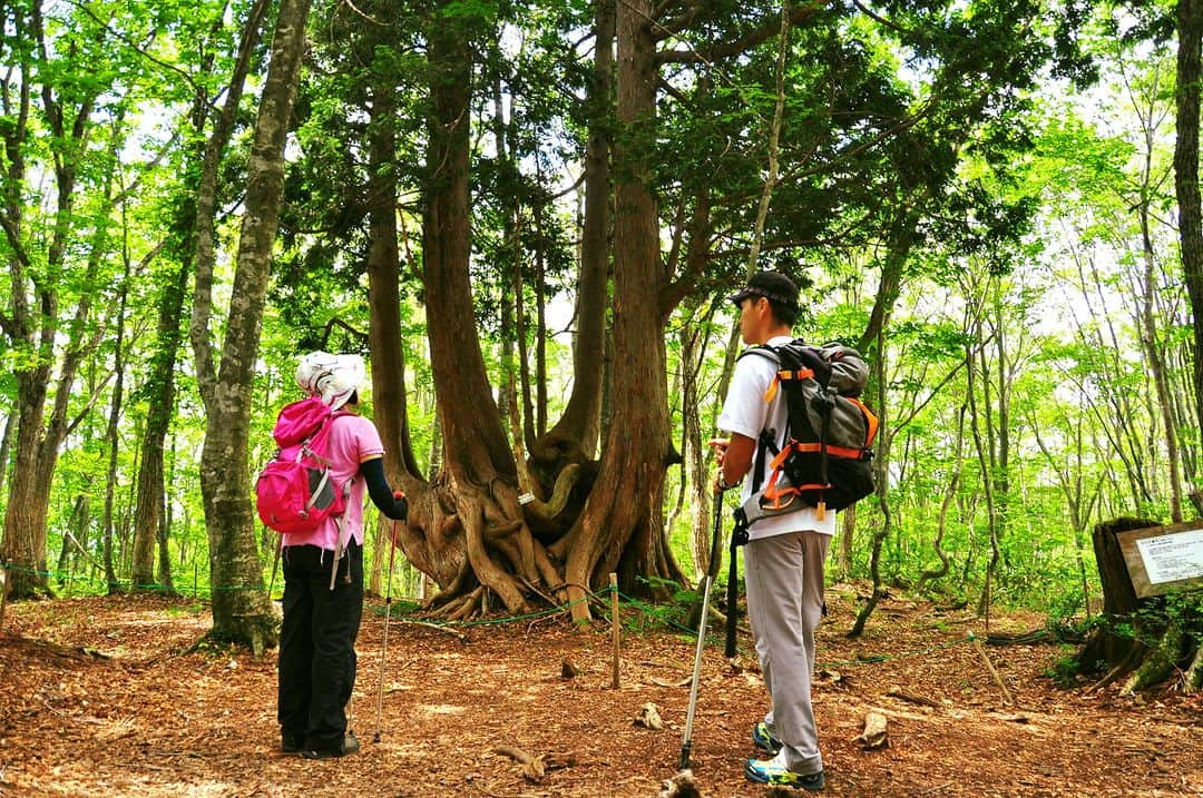 白馬岩岳スノーフィールドのインスタグラム