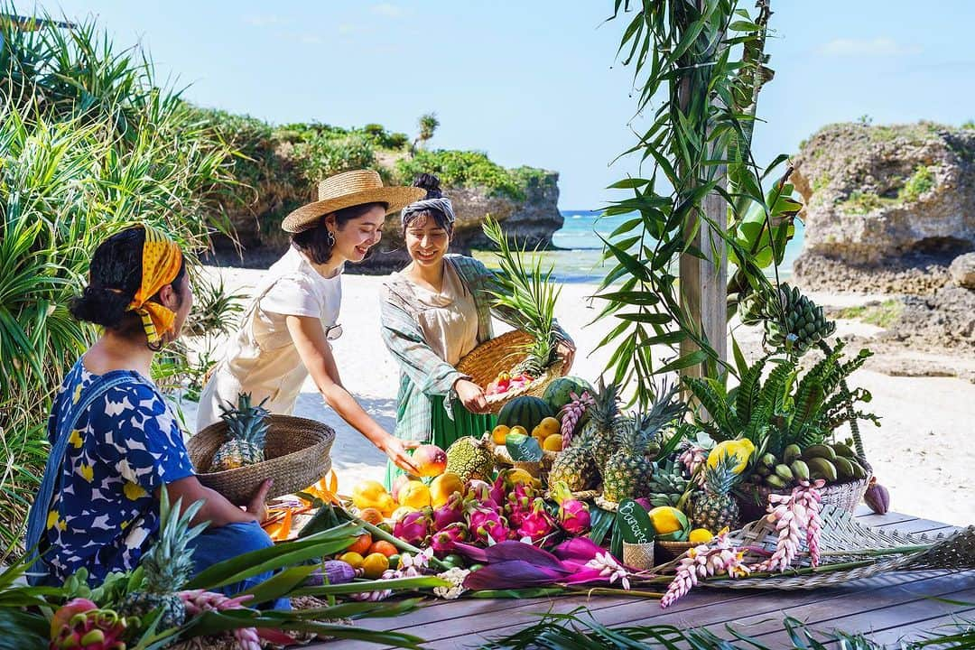 おきなわLikesのインスタグラム：「【いよいよ今月31日まで🏝️ 　トロピカルフルーツを堪能する「#まーさんトロピカルフェア 」】  暑い日が続き、頑張っている皆さんに ちょっぴり贅沢なご褒美をご紹介しちゃいます🩵  読谷村にある国内最大級の海カフェ、 星野リゾート　バンタカフェ で、 こだわり贅沢フルーツで心も体も栄養チャージ！ リフレッシュして夏を楽しむのもアリ😊  開催されている「まーさんトロピカルフェア」は 「生産者さんのこだわりを知ってほしい！」 という想いからスタートしたそうで👀‼️  確かに、違いや、こだわりを知った上で口にすると 味の繊細な違いを意識できて 一味も、二味も違いますよね〜🤔  今年は生産者さんがこだわり抜いた マンゴー🥭、パイン🍍、バナナ🍌 を使った以下3メニューを楽しめる他、 8月13日（土）・14日（日）には、 直売店「浜辺のマチヤグヮー」も登場します。  ／／ 【❶本日のマンゴータコス🥭】 　・宜野座村「ぴりなふぁーむ」マンゴー農家の林さんの逸品。 　・光合成、土壌分析、肥料・温度管理を徹底した3品種を食べ比べ！  【❷まるごとパインのかき氷🍍】 　・名護市「山パ農園」パイン農家の福井さんの逸品。 　・氷もパイン果汁で作り、ジューシーな味わい 　・山と海に囲まれ、豊富な湧き水で育てたゴールドバレルパイン！ 　・1日数量限定・予約可  【❸バナナスタンド🍌】 　・名護市「マルエスファーム」バナナ農家の荘司さんの逸品。 　・サトウキビの搾りかすを使った循環型農法で育てたアップルバナナだから香りが豊か！ ＼＼  「まーさんトロピカルフェア」は 今年で3年目の人気イベント。 まだ体験していない人は是非😊  ————————————————————— 【まーさんトロピカルフェア】 開催：〜2023年8月31日 時間：10:00〜日の入り後1時間 ASK：メニューは日によって違うようです！ 場所：星野リゾート　バンタカフェ 　　　@banta_cafe  —————————————————————  #おきなわlikes #星野リゾート #bantacafe #沖縄 #沖縄旅行 #okinawa #読谷村 #海カフェ #pr #バンタカフェ」