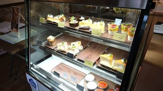 けんさむさんのインスタグラム写真 - (けんさむInstagram)「けんさむ🐶です🍰 熊本#七城町 にある「#メテオール 」という名の 隠れたケーキ屋さんをご紹介します🎂🎉🎁💐🎀👏🎊💕 📍#パティスリーメテオール  いいね👍フォロー👯‍♂️Thankyou😇✨ 皆さんの熊本のお気に入りを教えてください🌿 DM💭待ってます🐶🎶 . #けんさむの熊本紹介 #熊本 #熊本グルメ #くまモン #けんさむ #熊本観光 #kumamoto #熊本ランチ #熊本スイーツ」8月9日 20時28分 - kensome_kumamoto