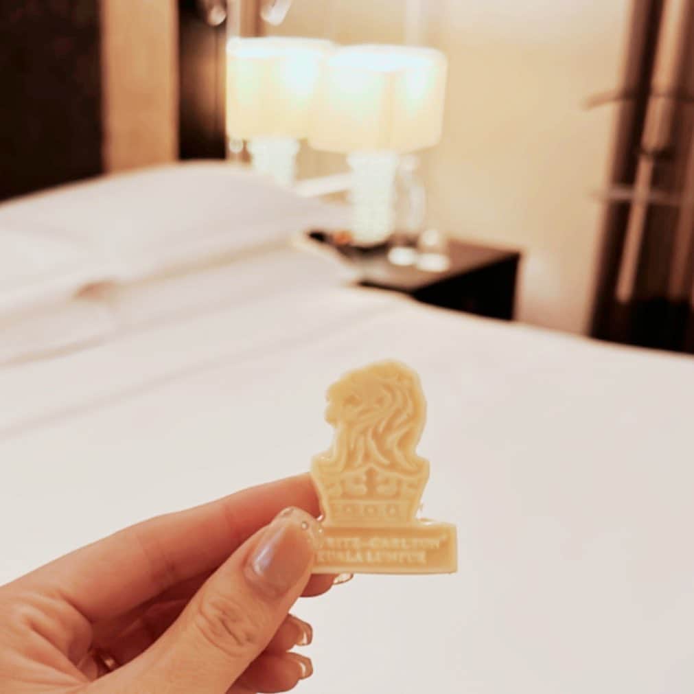 CARINA（日向カリーナ）のインスタグラム：「🦁🍫」