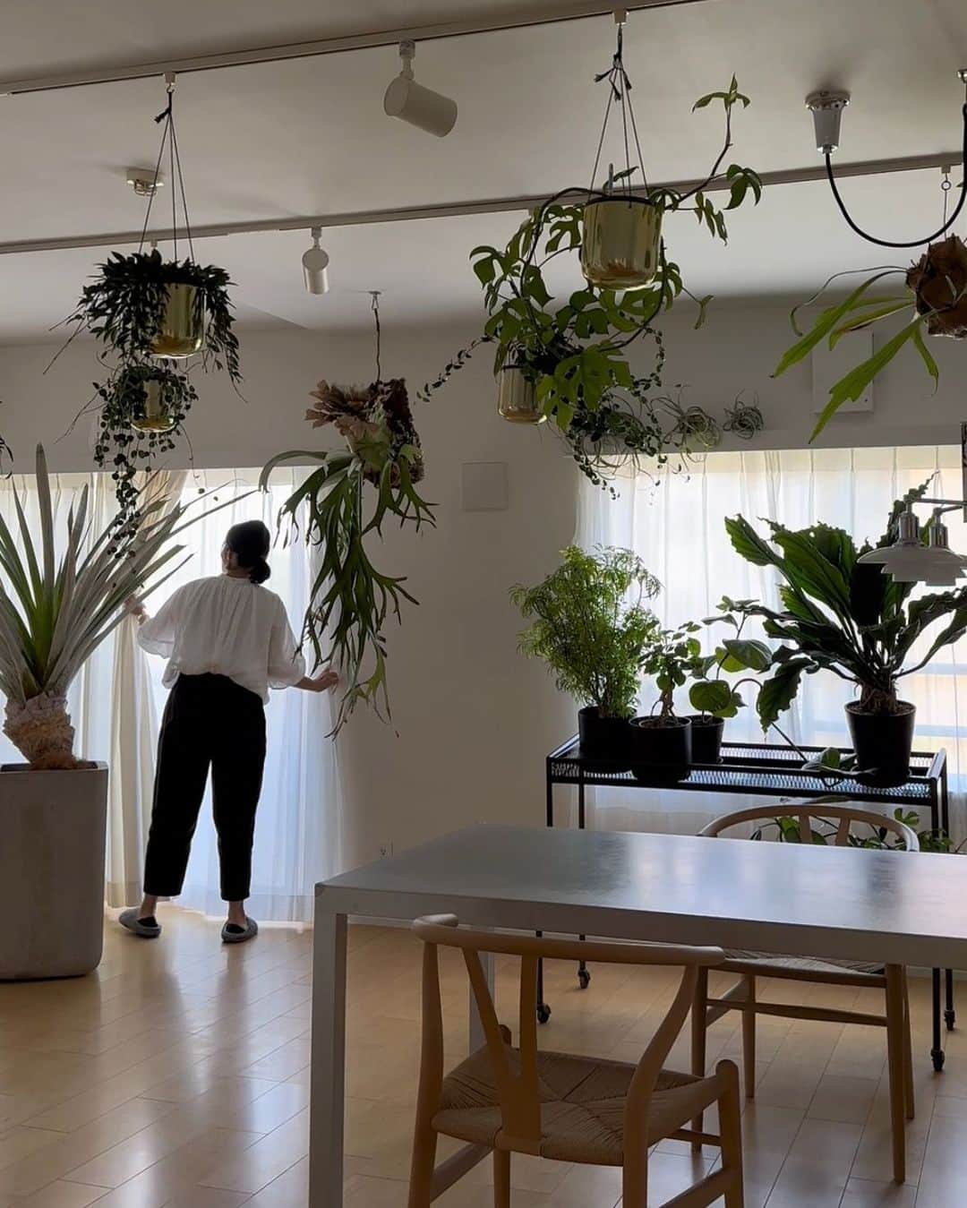 ムクリ［mukuri］さんのインスタグラム写真 - (ムクリ［mukuri］Instagram)「日々の成長と空間全体で癒しを感じて〜マンションで楽しむグリーンのある暮らし（ubu_maisonさん／あの人に暮らしが素敵な理由）  リノベーションしたマンションで 約３０種類の植物と共に暮らしているharukaさん。  日々の成長や変化が楽しみとなっていて お世話の大変さは気にならないほど 植物があることが暮らしの中にスッと馴染んでいるのだそう。  お部屋に配置された植物たちは その特性や種類でグルーピングされ 飾り方や場所にもこだわって空間全体で楽しめるように。  間接照明を利用して 陰影やその醸し出す雰囲気を楽しんだり 取り入れやすい枝物を置いてみたり ちょっと一工夫加えることで より植物の良さを引き出しているアイデアもぜひ参考にしたいところ。  素敵なインテリアと 植物たちの見た目にも涼し気な空間づくりをぜひご覧くださいね〜♪  specialthanks @ubu_maison  （編集：megu）  ▶詳細はプロフィールのURLよりご覧ください プロフィールはこちらから @mukuri_official ・  –––––––––––––––––– ムクリ公式アカウントでは くらしの中にある"好き"や"コダワリ"を毎日お届け。  インテリア、整理収納から家づくりなど 日常で参考になる情報から サラッと読める短編コラムまで ご紹介していますのでフォローしてぜひご覧ください。 ▶︎ @mukuri_official ・  「 #ムクリ 」のタグもいつも楽しく拝見しています☺️  オリジナルブランドは @daily_mukuri  くらしの中にあったらいいいな、 そんな商品を企画・制作、集めています。 ––––––––––––––––––  #インテリアグリーン#インテリアグリーンのある暮らし#グリーンのある暮らし #観葉植物#観葉植物のある暮らし #植物のある暮らし #葉水#ジャパンディ#リノベーション#リノベーションマンション#フルリノベ#フルリノベーション#マンションインテリア #くらしの編集#ムクリ」8月9日 21時05分 - mukuri_official