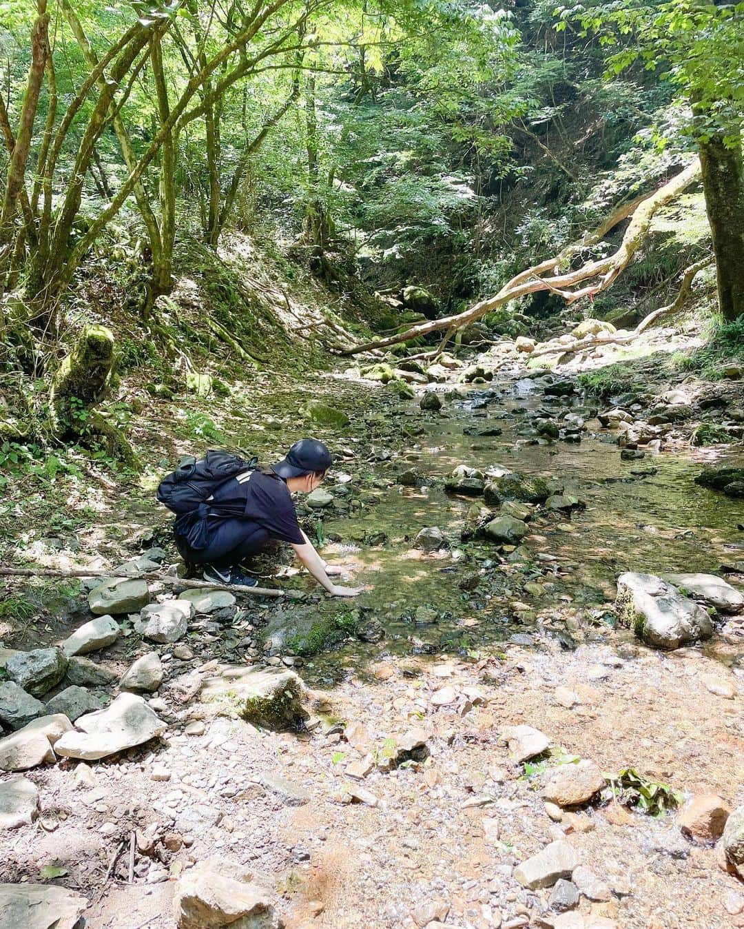 田原可南子さんのインスタグラム写真 - (田原可南子Instagram)「御岳山⛰️  この日は真夏の始まりでしたが 山に入れば木々に守られ沢が流れ 涼しさを感じられて気持ちよかった🍃  武蔵御嶽神社で参拝してから 長尾平、七代の滝、 天狗岩、ロックガーデンを通り 綾広の滝をゴールに往復5時間弱。  パワーを感じられる山でした。  下山後はかき氷で涼み 透き通った多摩川で水を浴びて涼み…  次はどこの山に登ろうかな🌳  #御岳山 929m」8月9日 21時23分 - kanakotahara