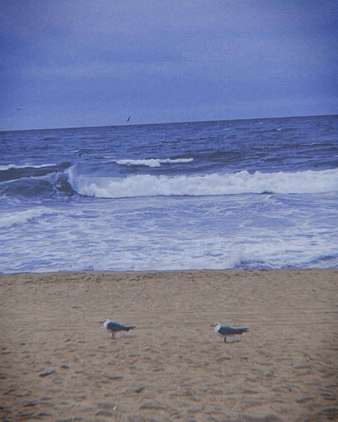 のインスタグラム：「🙏🏻」