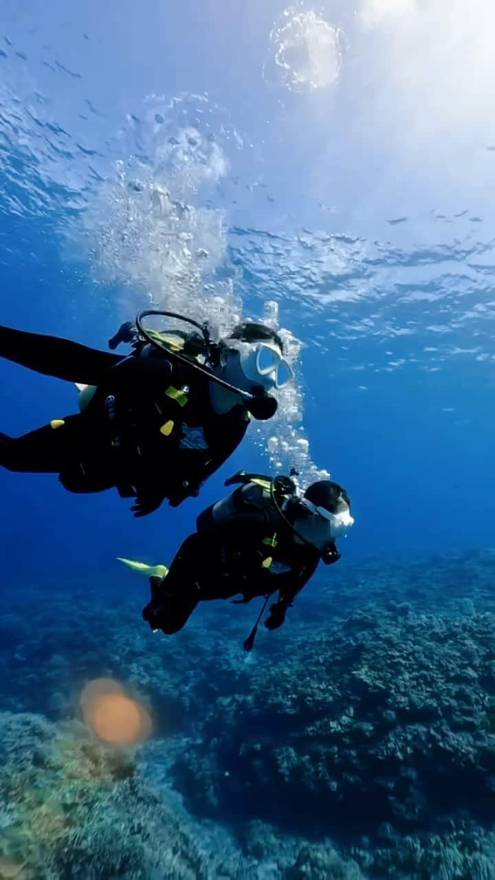 大関れいかのインスタグラム：「. 🤿 @divestar_okinawa   だいすきな慶良間の海🩵 キラッキラなの🪄 ドリフトダイビングで見れる景色。 これだからドリフトはやめられねぇ🔥 やっぱ海の中は最高だ〜 ジャイアントマンタにも会えて大感動🥹 ほんとに心の底から泳ぐことが 大好きでたまらない！！ 今年はあと何回沖縄に行けるかな〜🫶🏻 #ダイビング#慶良間」