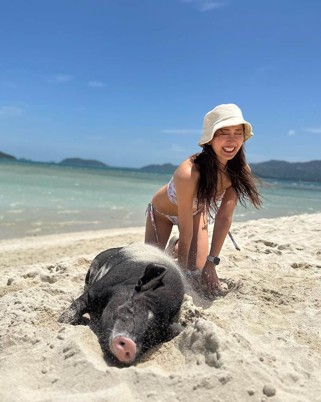 佐達ももこさんのインスタグラム写真 - (佐達ももこInstagram)「PIG ISLAND🐖🏝️  サムイ島から船で15分ほどのところにある マットサム島へ行った時📷  一枚目は、寝てたのに急にブルブル！って 動き出してびっくりした瞬間🙂笑  ここの島なぜか大量のブタちゃんがいて ビーチ✖︎ブタちゃんという面白い組み合わせに出会えます😆 思ってる5倍の量いた🤪  トイレとかの環境は良くないけど 珍しい体験をしたい方にはおすすめ🤣  #samui#samuiisland#kohsamui#madsumisland#kohmadsum#マットサム島#マッドサム島#マドサム島 #thailand#beach#pig」8月9日 22時17分 - sadamomodayo