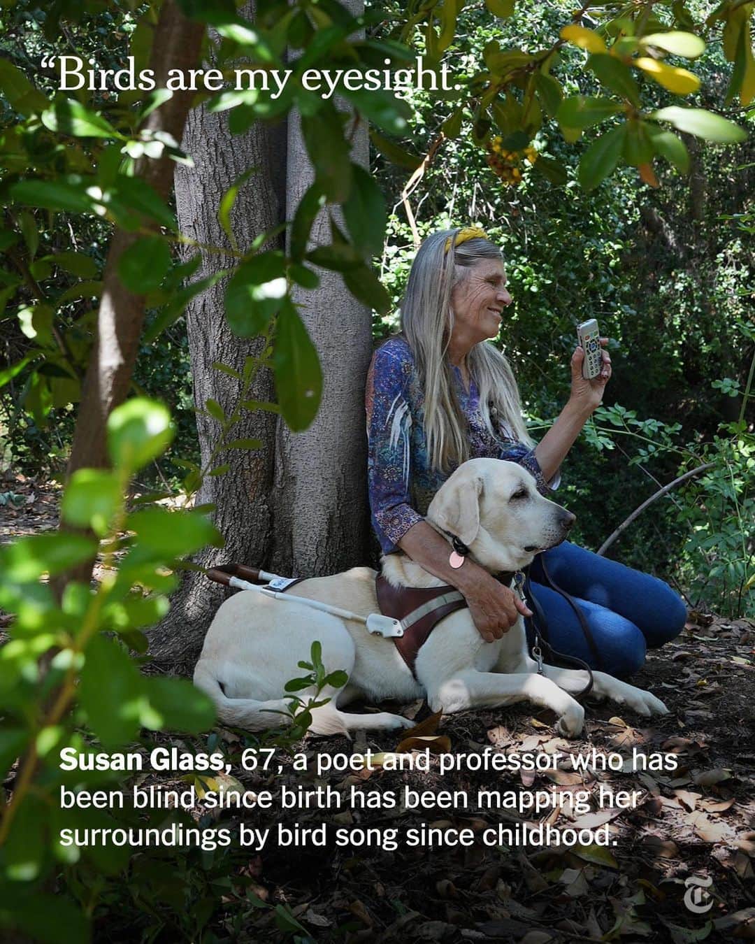 ニューヨーク・タイムズさんのインスタグラム写真 - (ニューヨーク・タイムズInstagram)「For some blind birders, avian soundscapes are a way to map the world around them. Increasing noise pollution is imperiling that navigation.  As the birding community grows larger and more diverse, birding clubs and conservation organizations are thinking more about accessibility. This is changing the way they talk about birding and think about it, said Sarah Courchesne, a Massachusetts Audubon program ornithologist in Newburyport.  For one thing, the terminology is evolving. According to Freya McGregor, a 35-year-old birder and occupational therapist specializing in blindness and low vision, the term “birder” was once reserved for those who were more serious than the hobbyist “bird watcher.” But increasingly, “birder” is becoming a catchall, thanks to a growing awareness that some hobbyists identify birds not by watching, but exclusively by listening.  But the notion of “a bird heard” is becoming increasingly imperiled as noise pollution brings about fundamental changes in the way nature sounds. Ornithologists have reported birds changing the tenor of their calls as they strain to be audible over the din of human-made noise — whether it’s cryptocurrency mining or just the everyday sounds of leaf blowers or car traffic.  Tap the link in our bio to read about how some blind birders map the world around them. Photos by @kayanaszymcza and @jimwilson125」8月9日 22時40分 - nytimes