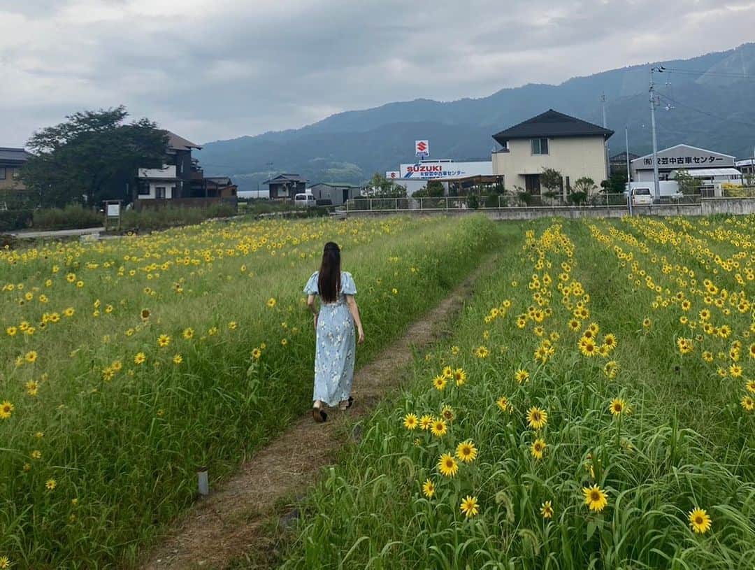 高城れにさんのインスタグラム写真 - (高城れにInstagram)「高知旅✨  #高知 #ひまわり畑」8月9日 23時18分 - takagireni_official