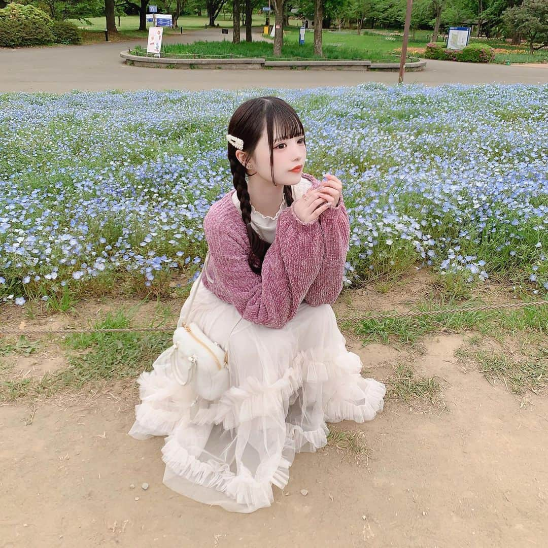 心花りりさんのインスタグラム写真 - (心花りりInstagram)「𓈒 ネモフィラ‎𓂃𓍯‎𓄼𓄼 お花畑って癒されるよねᴛ.ᴛだいすき𓈒𓂂𓏸 𓈒 𓈒 #ネモフィラ #昭和記念公園」8月9日 23時38分 - riri_ilife