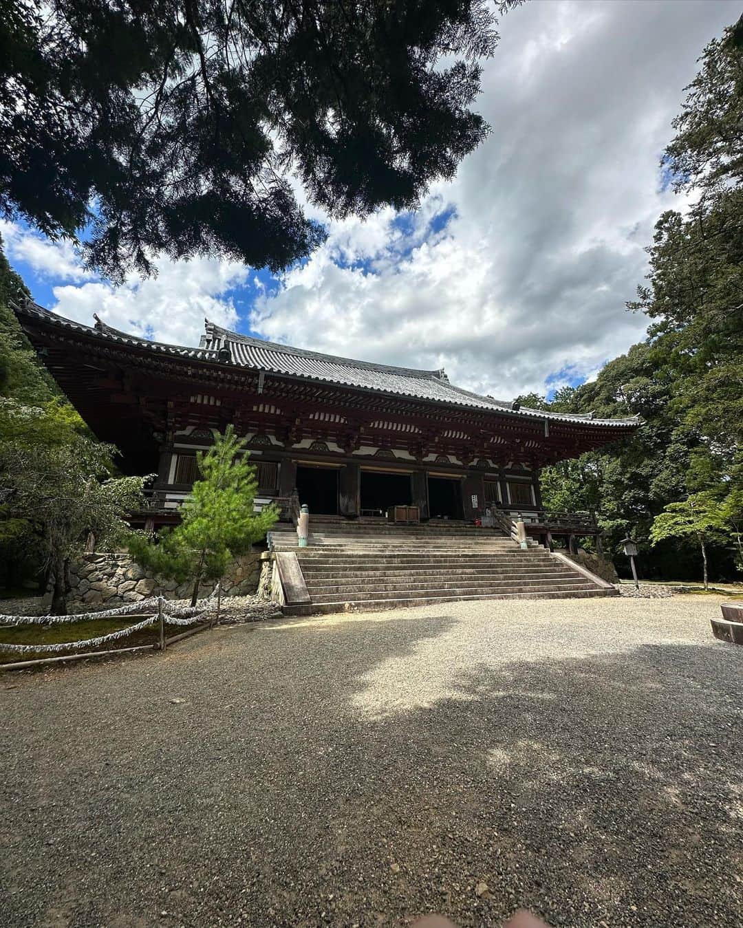 沖田杏梨さんのインスタグラム写真 - (沖田杏梨Instagram)「京都旅行vol.2  高野山にある神護寺に行って来ました。空海が十数年住んだところです。  350段昇って国宝の薬師如来像に手を合わせて来ましたよ。 神様界のお医者さん的存在だそうです。 瓦投げして厄除けもして来ました。 １枚目の写真がその時で、実際は小さな土でできたお皿を投げます。  超有名店の天然氷のかき氷食べて(全く頭が痛くならない) 炎天下の中でできる限り満喫しました。 冷凍されてない伊勢海老はびっくりするほど美味しいですね！  Kyoto trip vol.2  I visited Jingo-ji Temple on Mount Koya. Koya, where Kukai lived for more than ten years.  I climbed the 350 steps to the Yakushi Nyorai statue, a national treasure. It is said to be like a doctor in the world of gods. I also threw roof tiles to ward off bad luck. The first photo is from that time. In reality, small clay plates are thrown.  I ate shaved ice from a very famous natural ice shop (no headache at all). I enjoyed it as much as I could under the hot sun. The unfrozen lobsters are amazingly tasty!  #京都旅行 #神護寺 #薬師如来」8月10日 0時09分 - anri_okita
