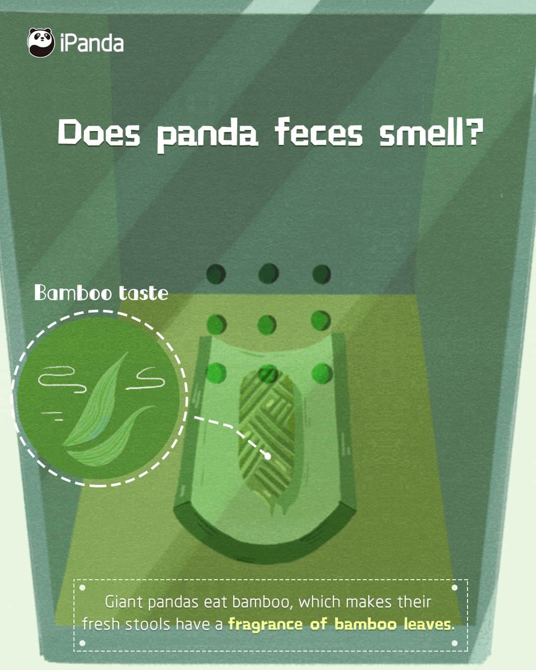 iPandaさんのインスタグラム写真 - (iPandaInstagram)「What is the smell of panda’s