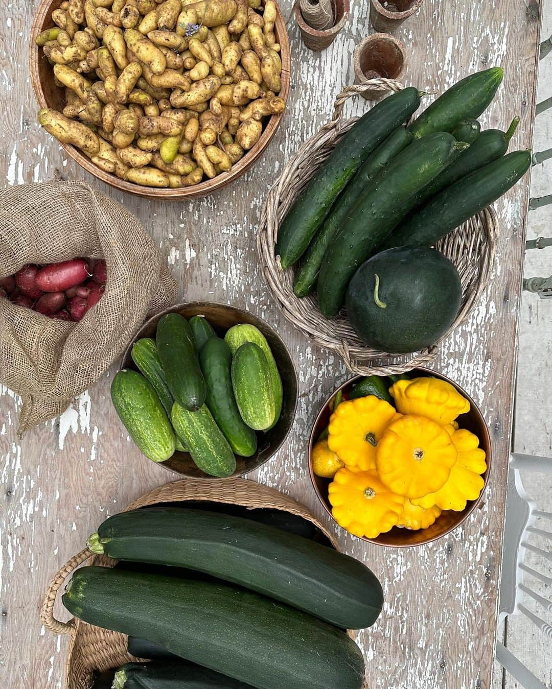 パメラ・アンダーソンさんのインスタグラム写真 - (パメラ・アンダーソンInstagram)「After a few hours spent in the garden -  Today’s harvest is done 🤍」8月10日 1時06分 - pamelaanderson