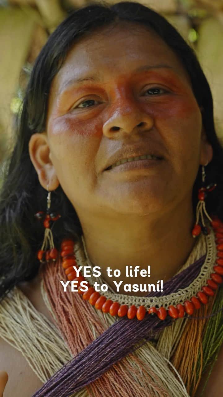 レオナルド・ディカプリオのインスタグラム：「Join me in saying #SíAlYasuní.  Yasuní National Park stands as the most biodiverse location on our planet. Within its forests reside many Indigenous communities who hold ancestral rights to the land and who actively steward biodiversity. Yasuní is home to some of the last Indigenous tribes living in voluntary isolation—the Tagaeri, Taromenane, and Dugakaeri tribes. But the destiny of Yasuní hangs precariously in the balance, threatened by the looming presence of the petroleum industry.  Proposed ventures by the fossil fuel sector cast a shadow over this critical ecosystem, threatening mass deforestation and species loss. The implications are dire, with the very survival of these Indigenous communities imperiled.  Presented with a pivotal moment in history, Ecuadorians hold the power to safeguard Yasuní and its people. On August 20, the people of Ecuador have an historic opportunity to vote in favor of safeguarding a significant portion of Yasuní rainforest. Let’s commend this opportunity for Ecuadorians to exercise their voices in favor of Yasuní. I stand with the people of Ecuador saying #YestoYasuní.  For more information follow @sialyasuni and their Indigenous youth ally @jovenes_amazonicos_ec #SupportYasuní #YasuníITT  Produced by @mullu.tv & @jovenes_amazonicos_ec in collaboration with the Waorani Nationality of Ecuador & Okienani Waorani Association of Orellana」